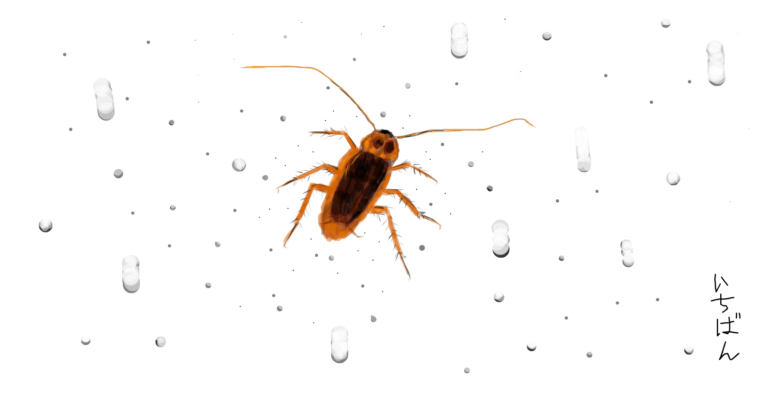 Wallpaper #SWdXCpMBSpphPi3-q9Qk426 The Cockroach Drawings Sketchport