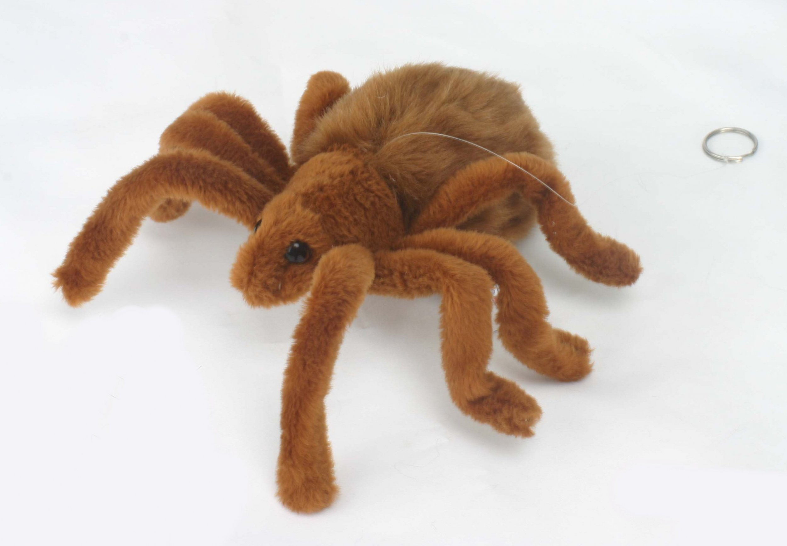 Wallpaper #1vQOOpMBKFX8bn3r-3fK79 Soft Toy Arachnid Brown Tarantula Spider by Hansa 19cm 4726 Lincrafts