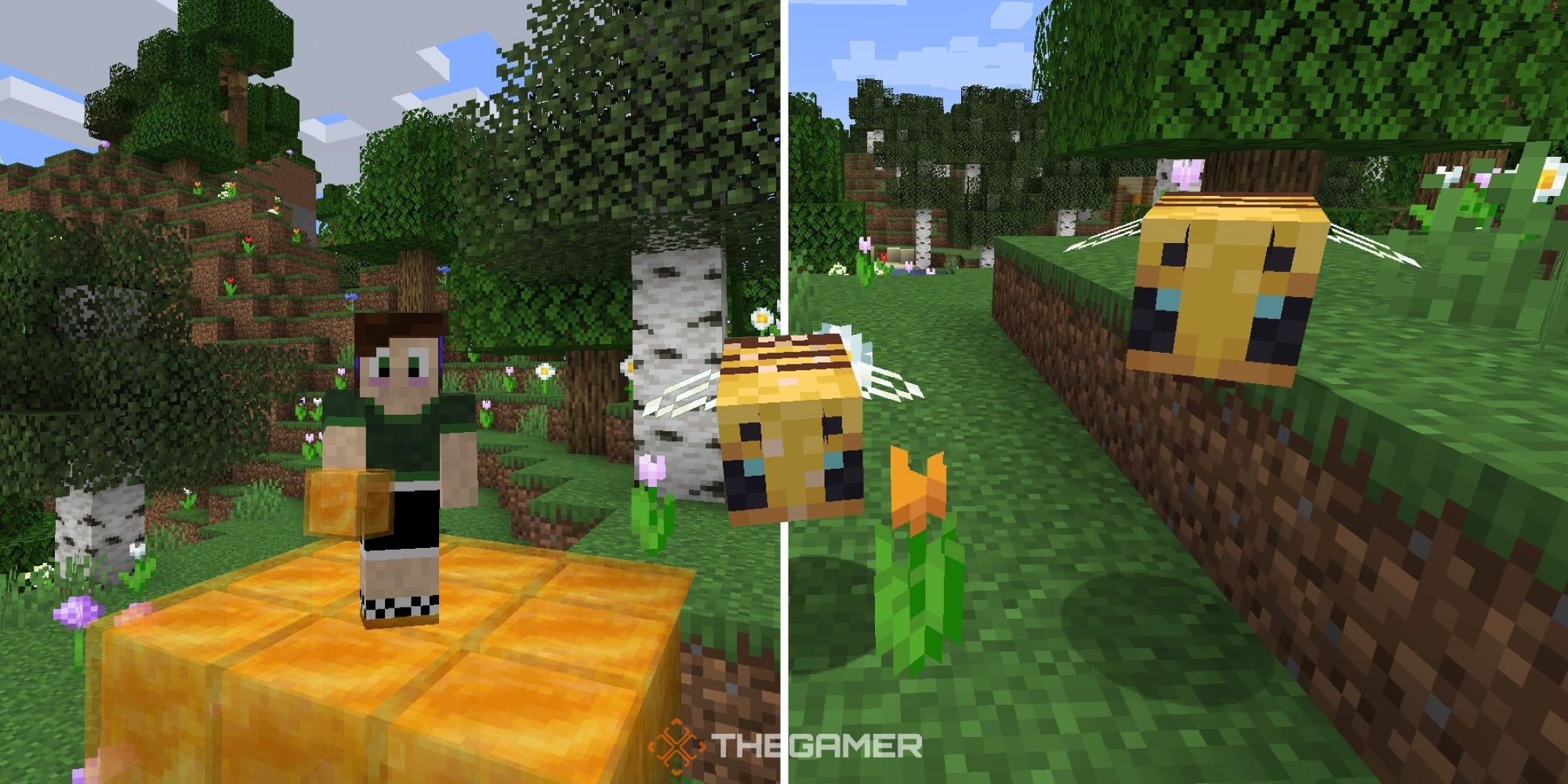 Wallpaper #W6mhiJcBxbDgA0RlOe9620 How to Spawn Bees in Minecraft