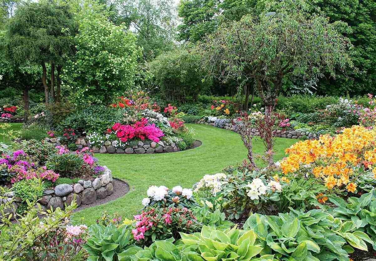 Wallpaper #A26DC Low Flowering Shrubs for Shade Fanny Healthy Life
