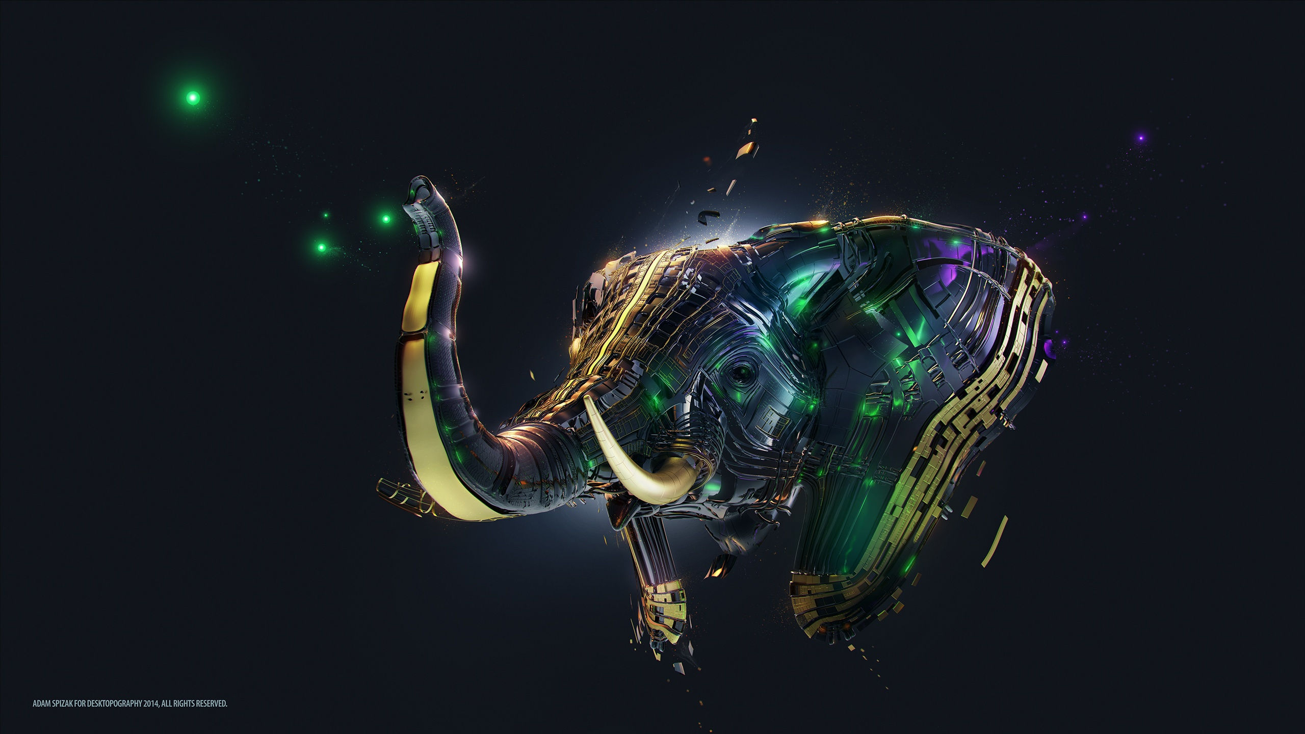 Wallpaper #sHfNJ5MB-pgBXx60h6cK138 11 Elephant HD Wallpapers Background Images Wallpaper Abyss