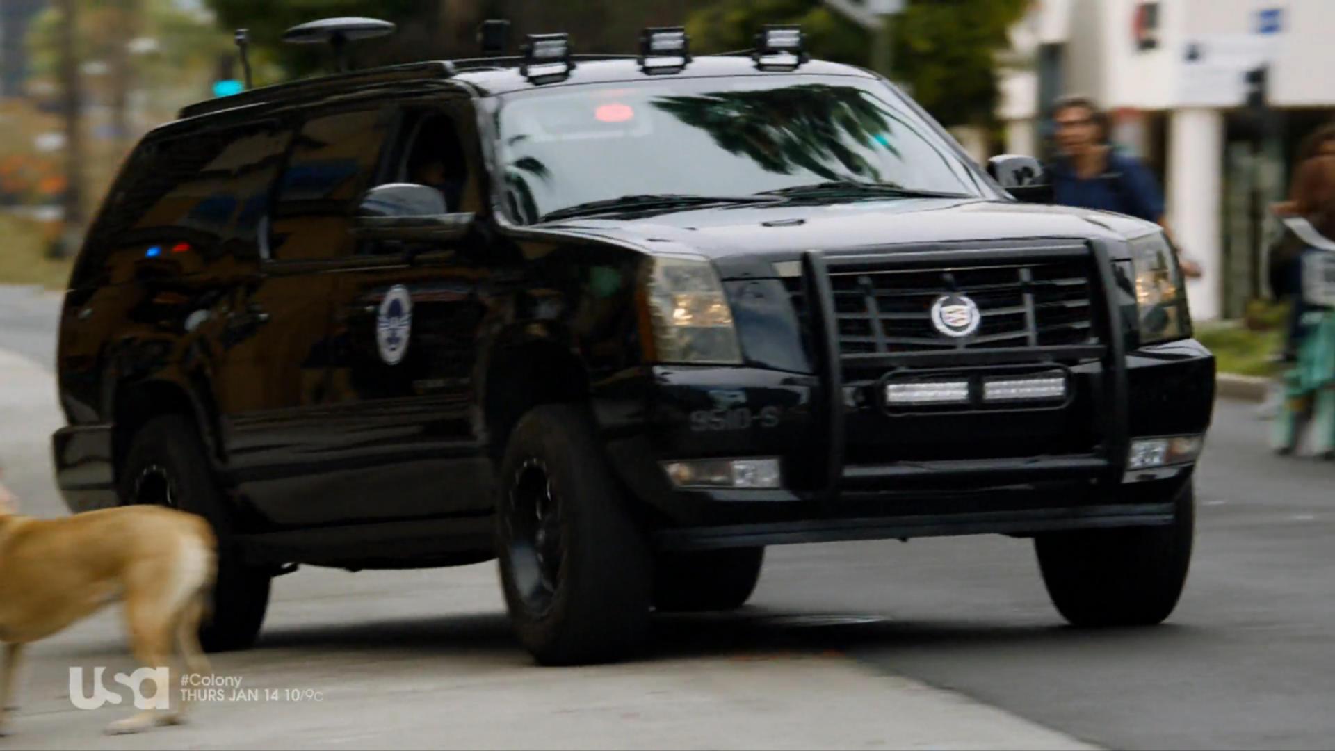 Wallpaper #OuquVZMBlwTYPL18rA5u67 Homeland Security SUV Colony Wikia Fandom Powered by Wikia
