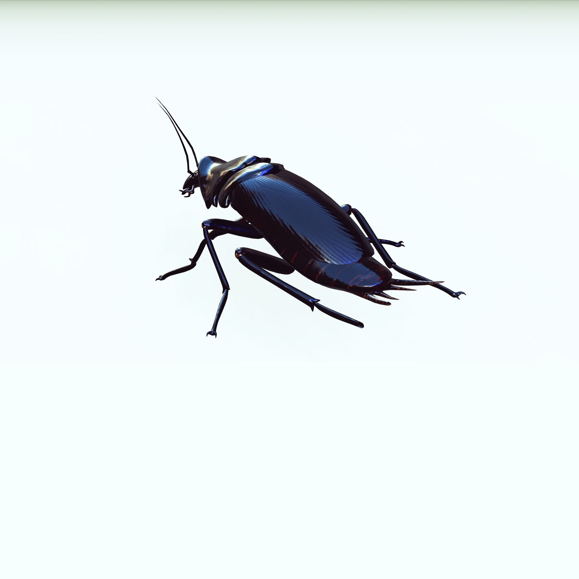 Wallpaper #SWdXCpMBSpphPi3-q9Qk134 Obj File Cockroach Cockroach 3D Model Animated for Blender Fbx Unity