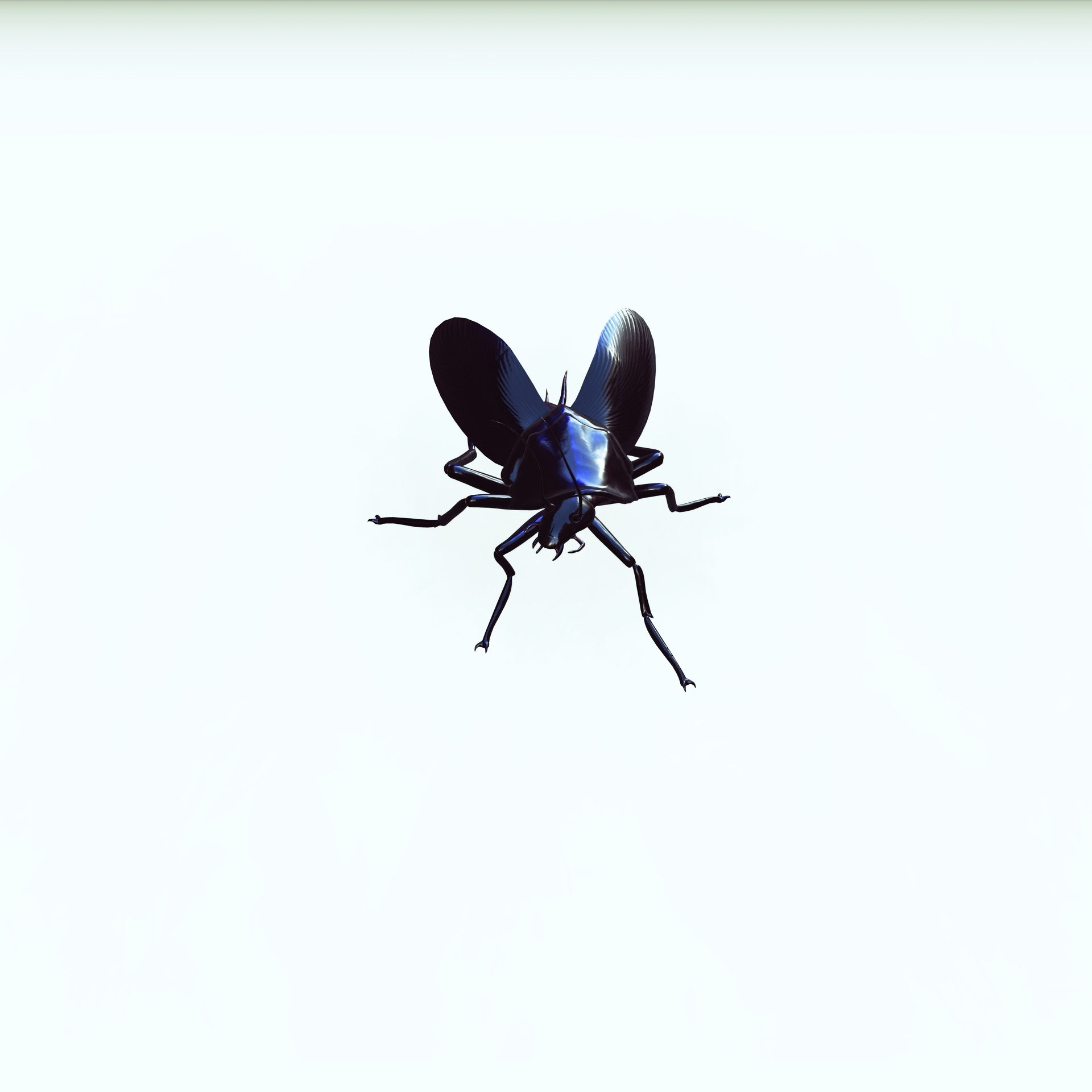 Wallpaper #SWdXCpMBSpphPi3-q9Qk252 Obj File Cockroach Cockroach 3D Model Animated for Blender Fbx Unity