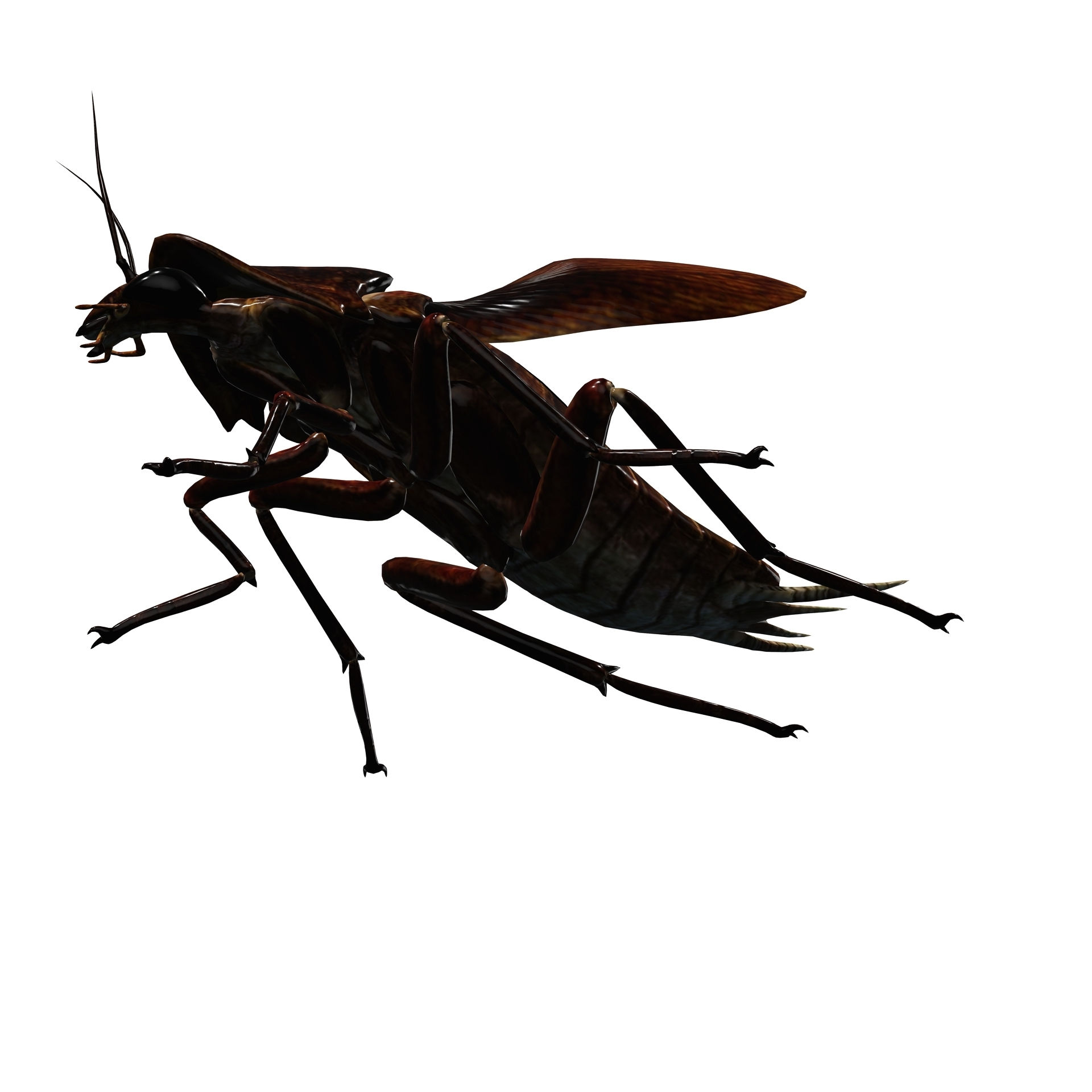 Wallpaper #SWdXCpMBSpphPi3-q9Qk177 Obj File Cockroach Cockroach 3D Model Animated for Blender Fbx Unity