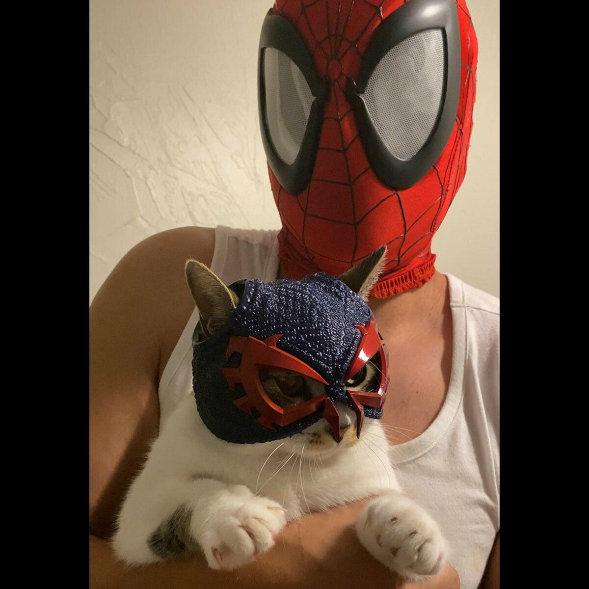 Wallpaper #82gwGpMBSpphPi3-aRrE5 3D Printing Spider Cat 2099 Maskcults