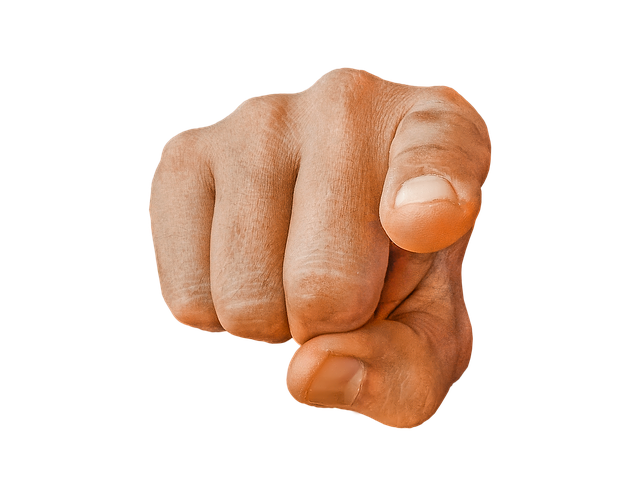 Wallpaper #nLgf2JIBJvJKYCmEN-Zo81 Pointing Memes Imgflip