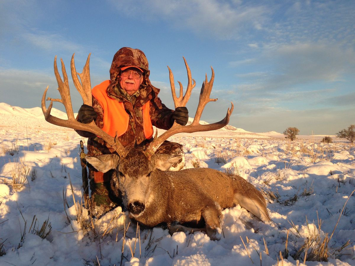 Wallpaper #FmiZE5MBSpphPi3-2gHs224 Utah Mule Deer Hunt Auction Tag Nets Record 410k Bid the Spokesman