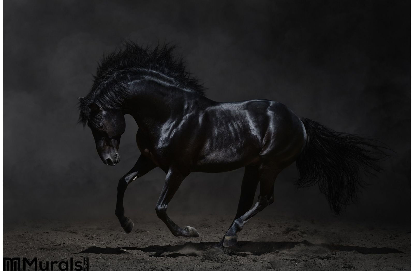 Wallpaper #CR2YLJMBlOZrFDOk0ssm250 Galloping Black Horse on Dark Background Wall Mural