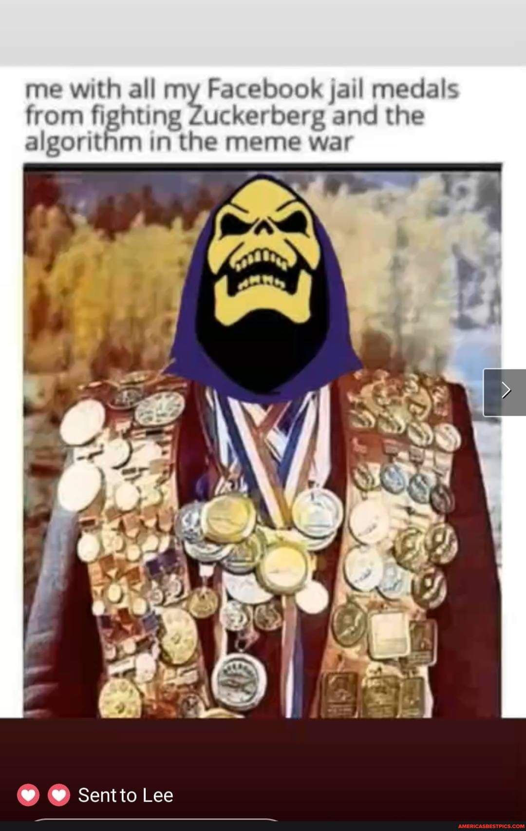 Wallpaper #lGeUCZMBSpphPi3-fNDx264 Me with All My Facebook Jail Medals from Fighting Zuckerberg and the