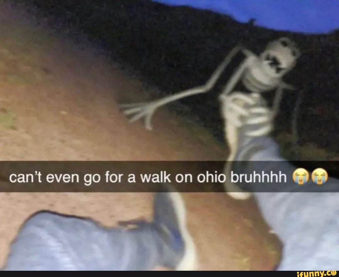 Wallpaper #mWfS_JIBSpphPi3-N5nl255 Cant Even Go for a Walk on Ohio Bruhhhh Ifunny