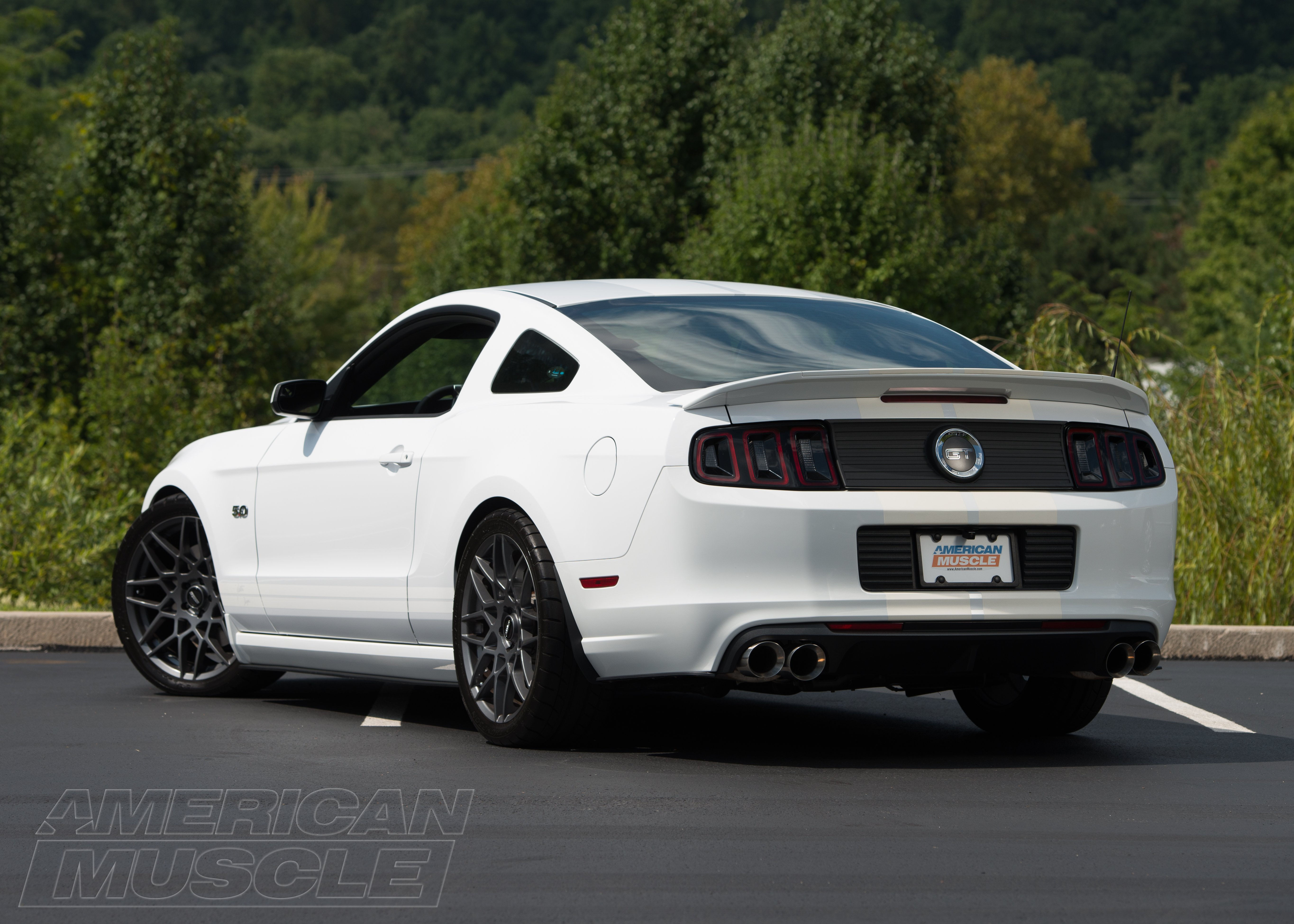 Wallpaper #CWjlFpMBSpphPi3-cw3l327 Justins 2014 GT Mustang Build