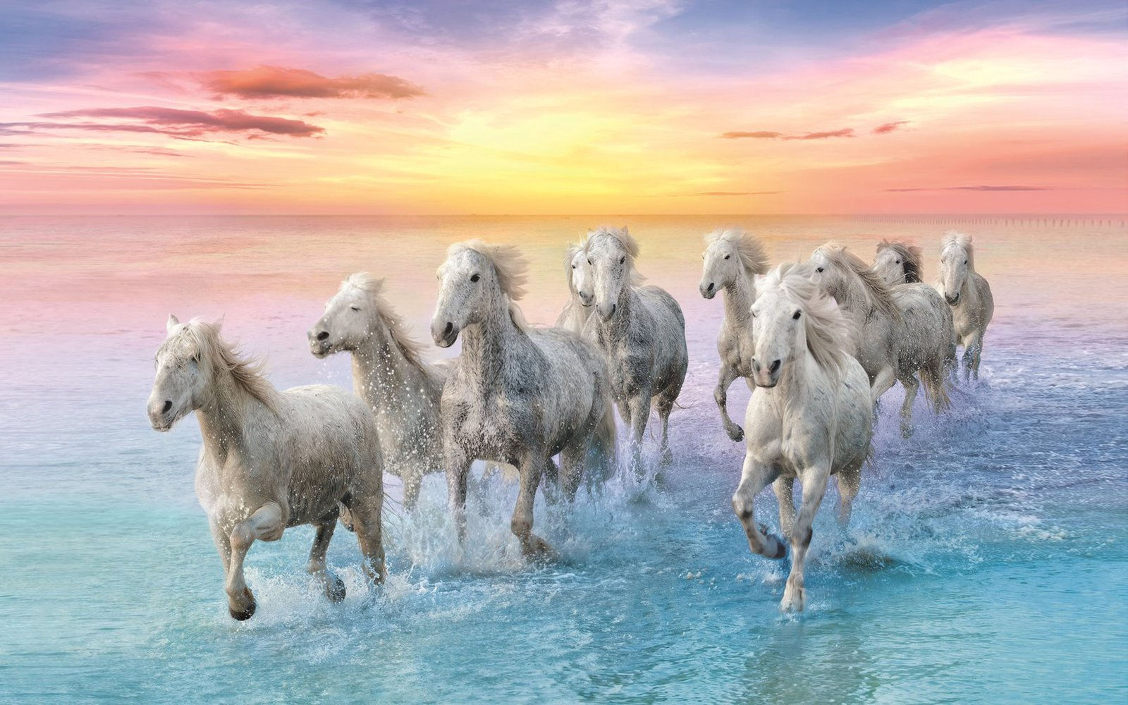 Wallpaper #th2FLJMBlOZrFDOkscqQ101 White Horse in Galop Sunset Sandy Beach Ocean Water Waves 4K Ultra HD