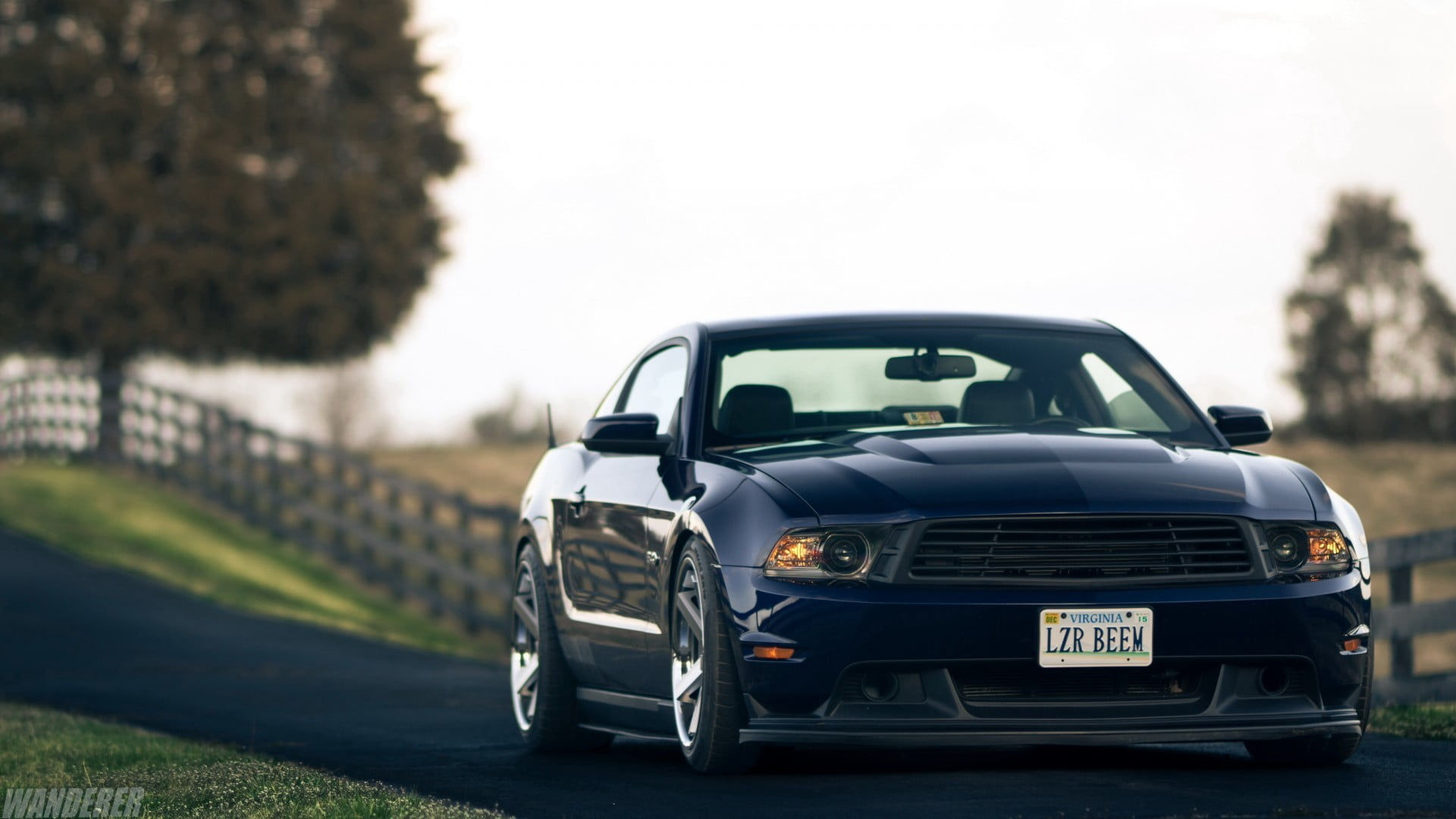 Wallpaper #RXPpiY4BFI5NbQks-yJF42 Online Crop Black Car Ford Mustang Ford HD Wallpaper Wallpaper Flare