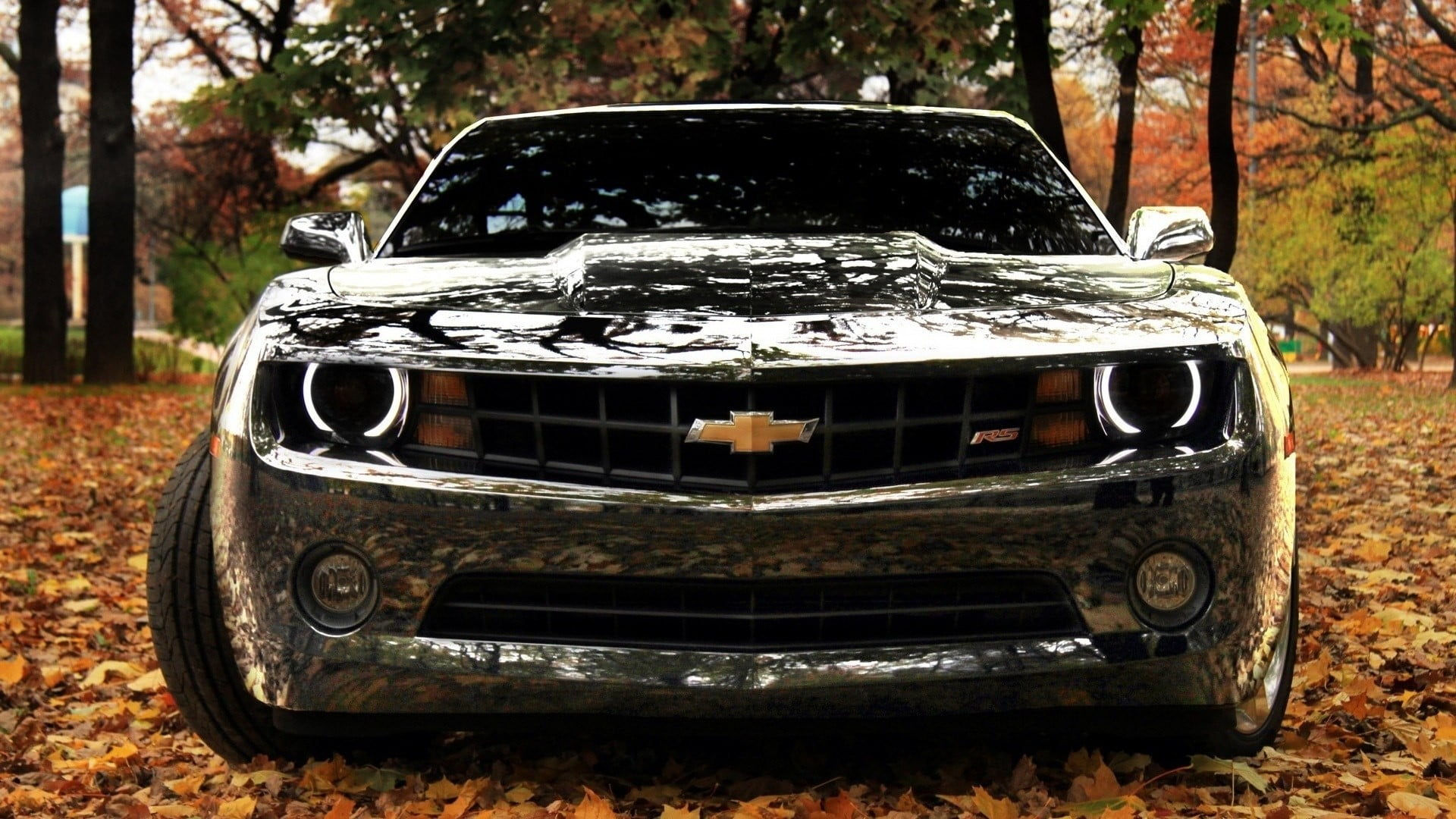 Wallpaper #PnS6yI4B_8f4nGFazHOR12 Black Chevrolet Camaro Car Camaro Chevrolet HD Wallpaper Wallpaper
