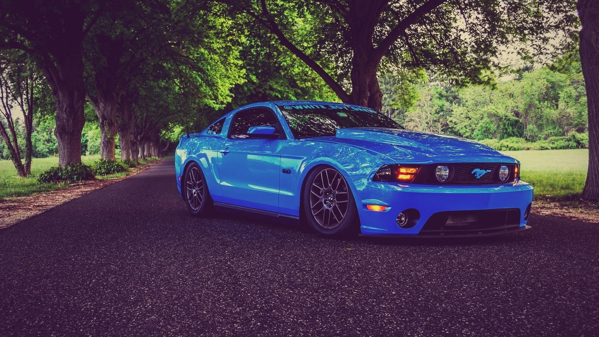 Wallpaper #wX1j844Bnwiau_P6pwz612 Blue Ford Mustang Coupe Car Ford Mustang Blue Cars HD Wallpaper