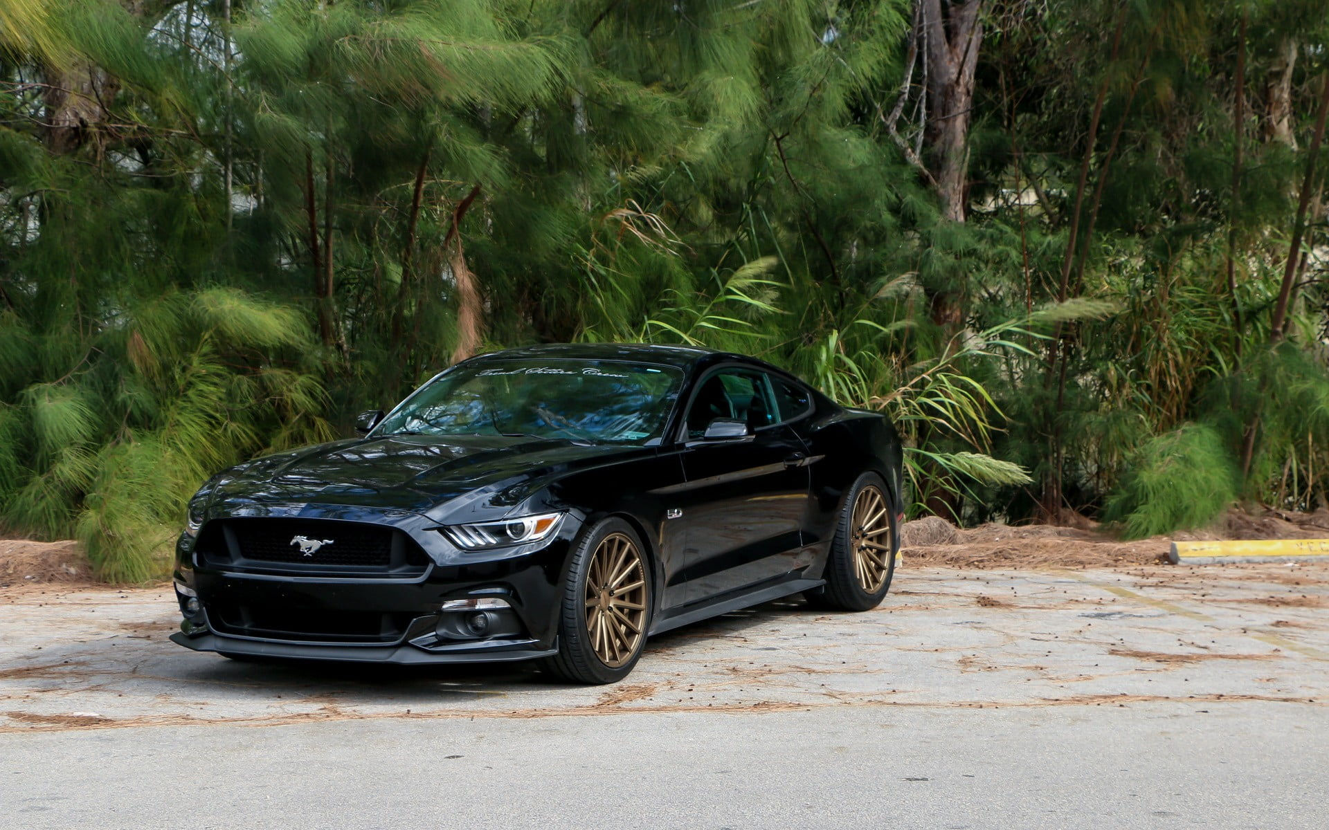 Wallpaper #nUUgl44B7YBJg1BVN6AP54 Black Ford Mustang Parked in a Scenic Location