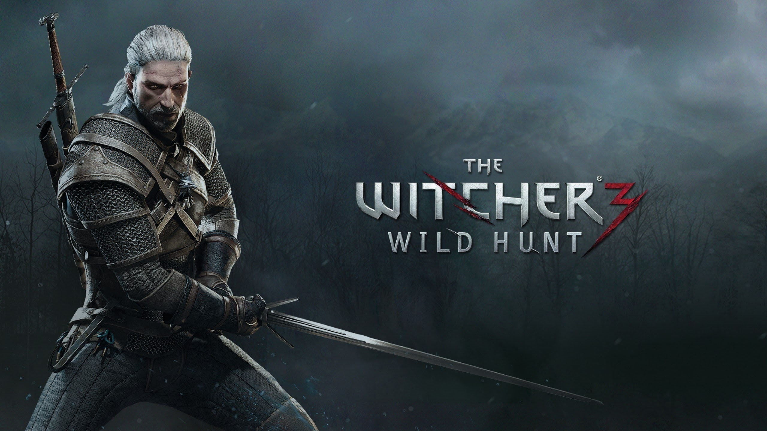 Wallpaper #efFtQ5MBLX2DcmSNLoVg80 2560x1440 Resolution the Witcher 3 Poster the Witcher the Witcher 3