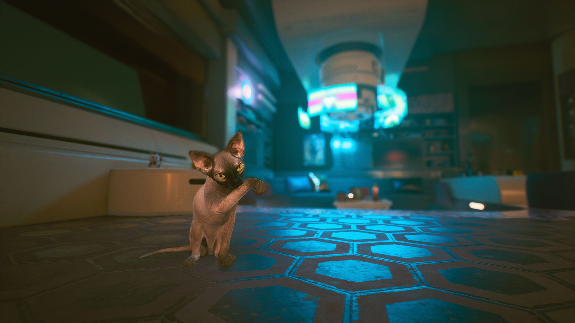 Wallpaper #2W0WaJcBycdYOYFTPW9J27 Cyberpunk 2077 Nibbles How to Get Your Very Own Future Cat