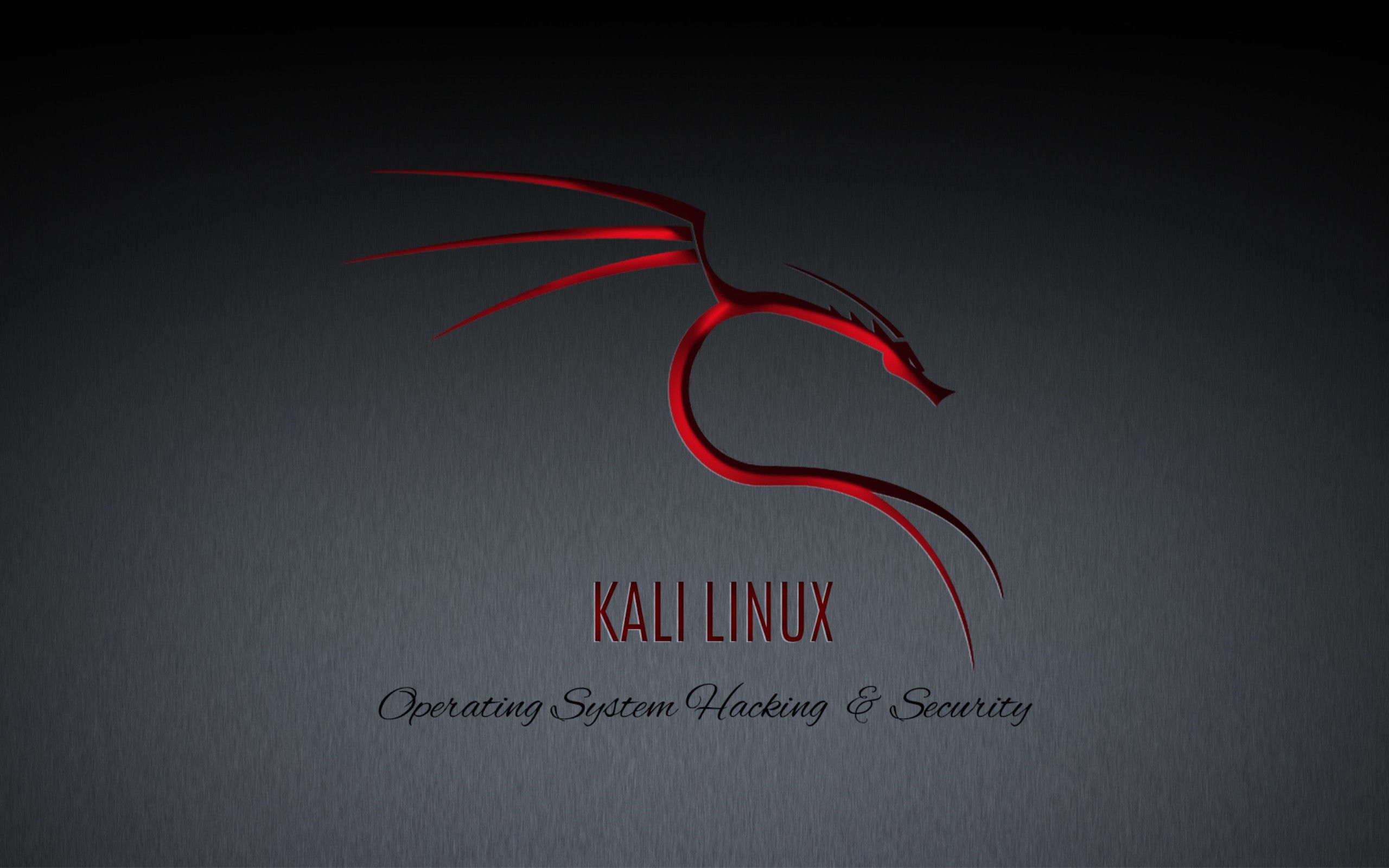 Wallpaper #V2hFGJMBSpphPi3-DBIe59 Kali Linux Dragon