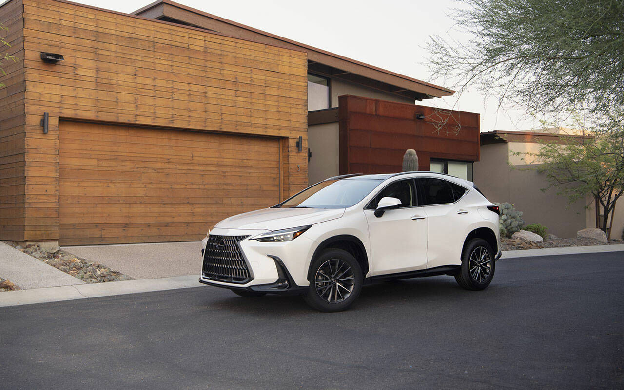 Wallpaper #Pu_TS5MBMN-XEVvVXTzo48 Lexus Goes All Out on the All New 2022 Nx Luxury Compact SUV