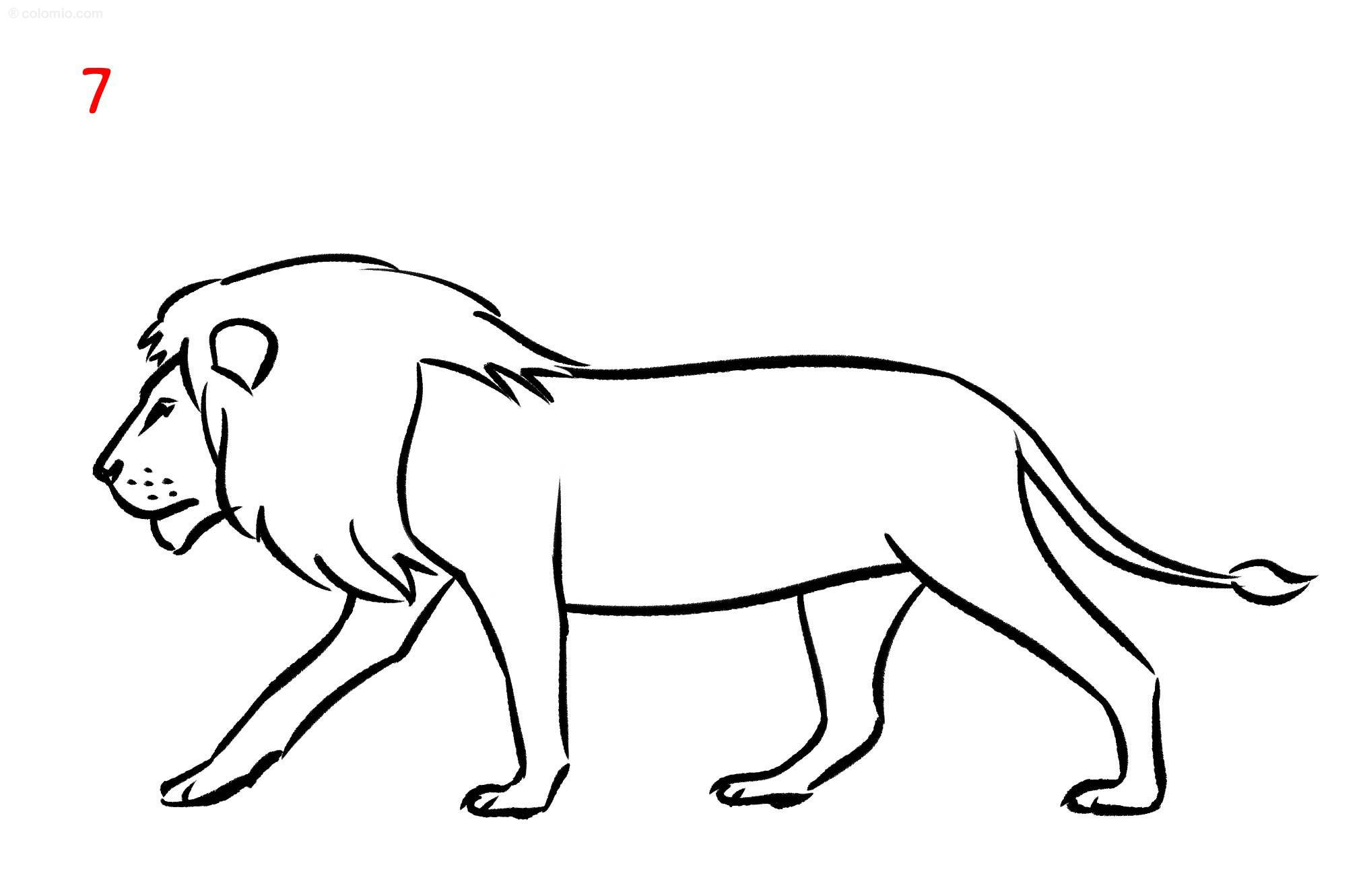 Wallpaper #6qlRh5cBxbDgA0Rlce31153 How to Draw a Lion Easy for Kids Great How to Draw a Lion Easy Learn