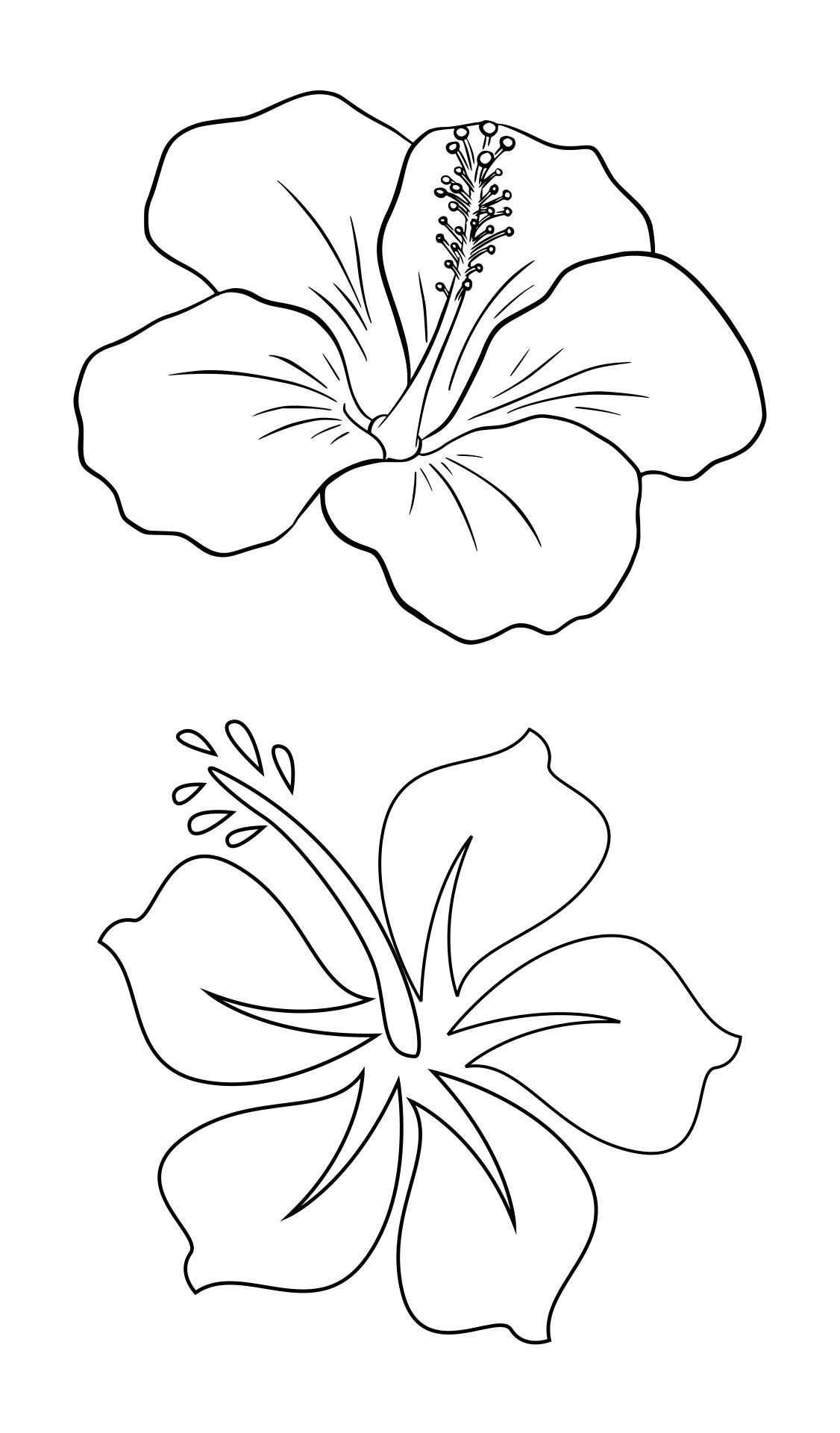 Wallpaper #8a759 Printable Downloadable Free Cricut Paper Flower Template