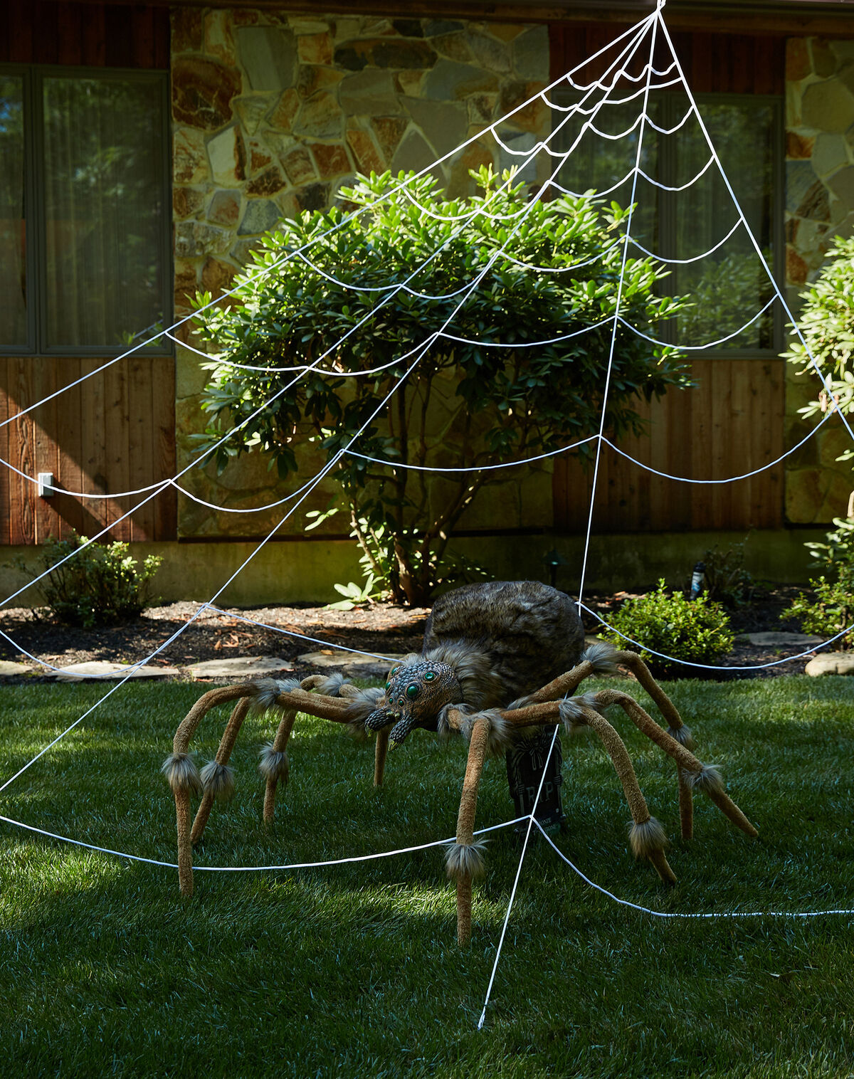 Wallpaper #Z1gfNJMBzN9vxX34uDsd272 Mega Spider Web Spirit Halloween Wikia Fandom