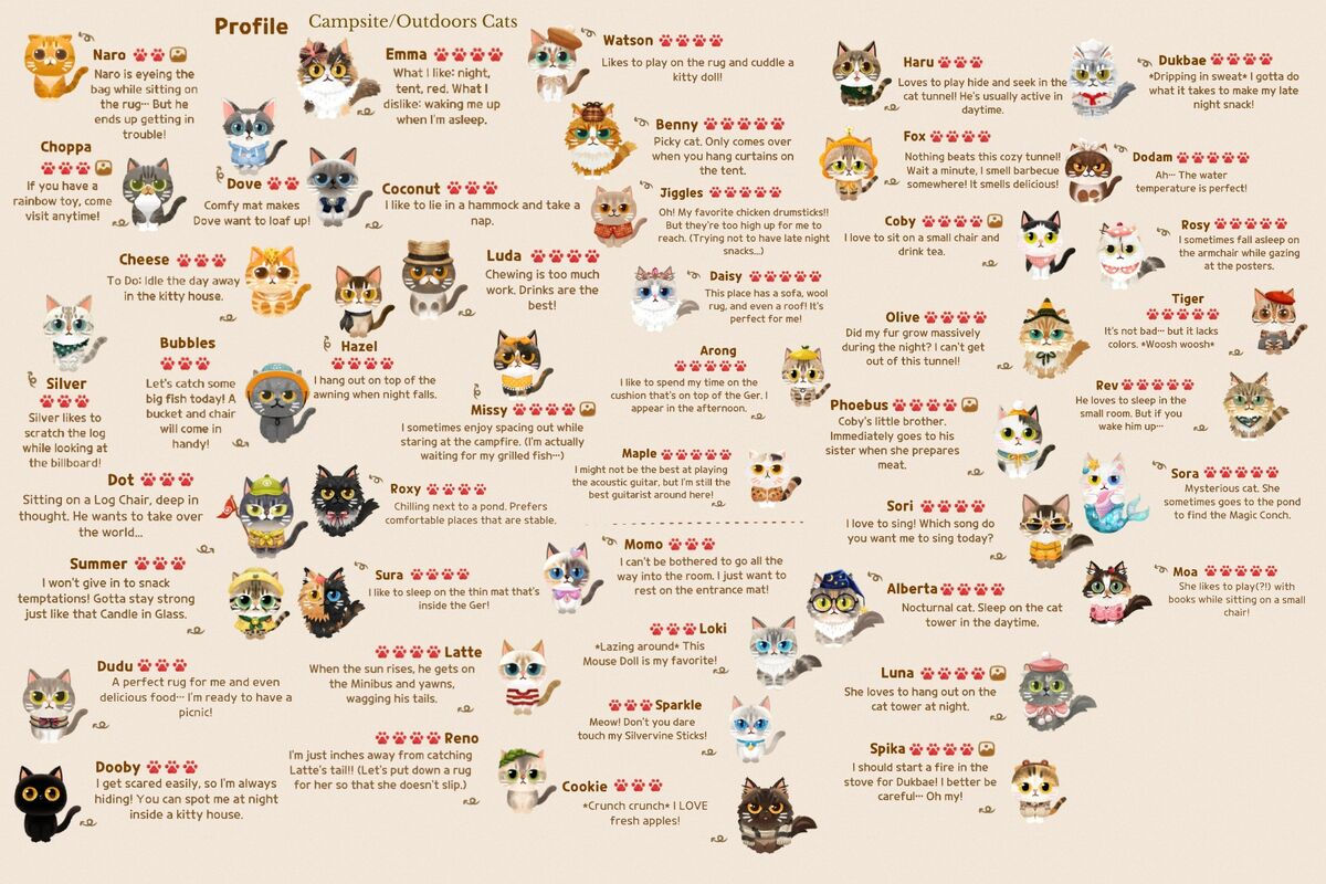 Wallpaper #r2fTEJMBSpphPi3-HPTq393 Categorycampsite Secret Cat Forest Wiki Fandom