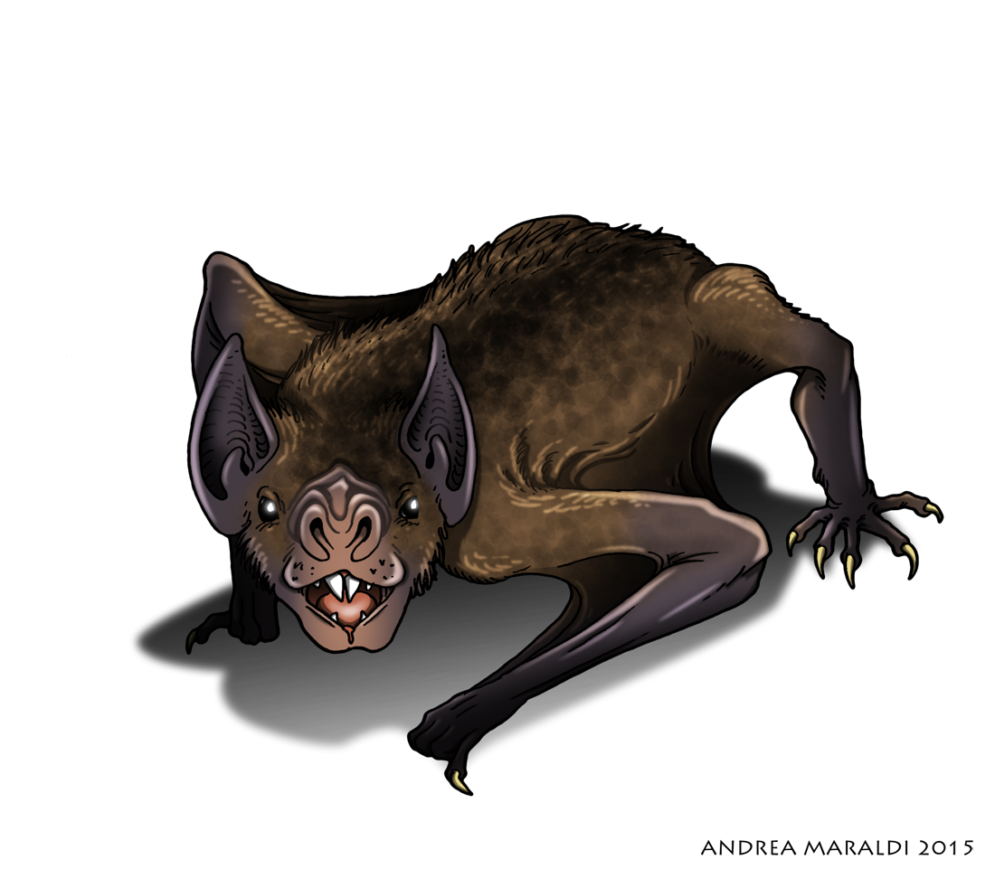 Wallpaper #mxm_HY8BtGB6xQ78GHdV31 Giant Vampire Bat Encyclopaedia of Cryptozoology Fandom