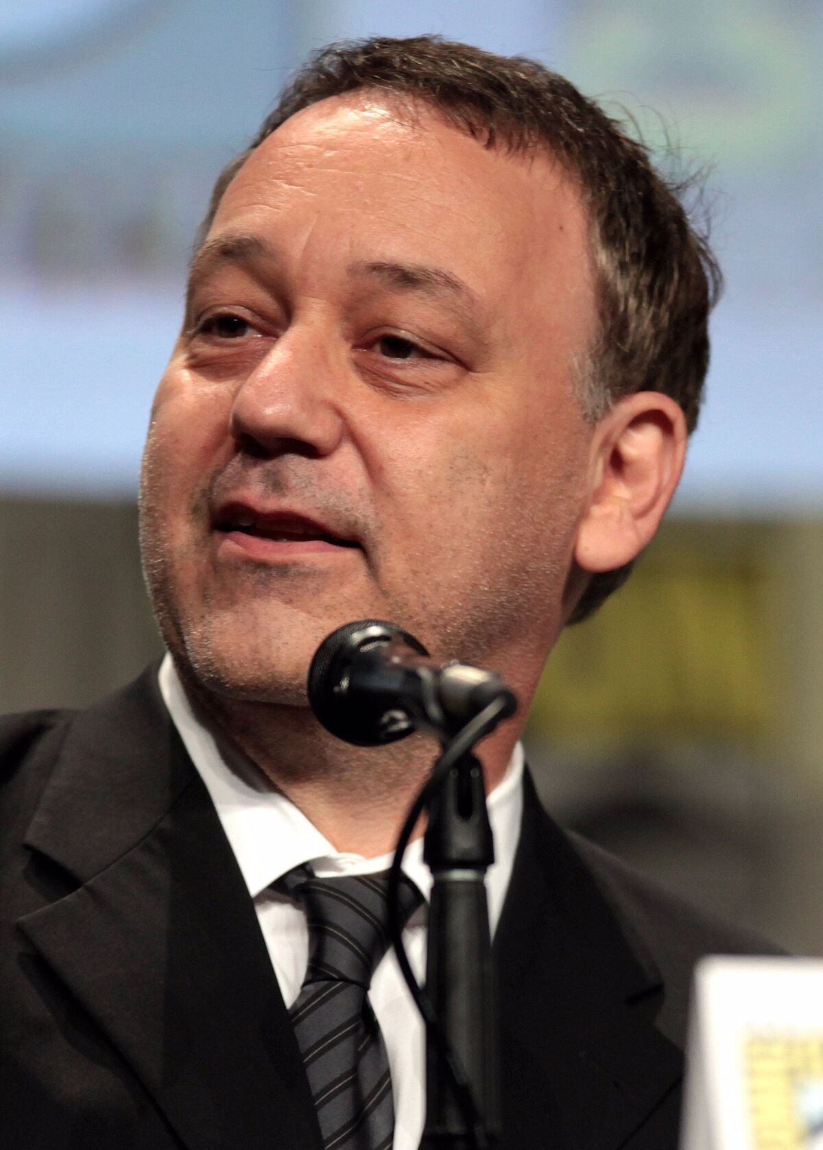 Wallpaper #5mf97ZIBSpphPi3-R1pb237 Sam Raimi Spider Man Films Wiki Fandom