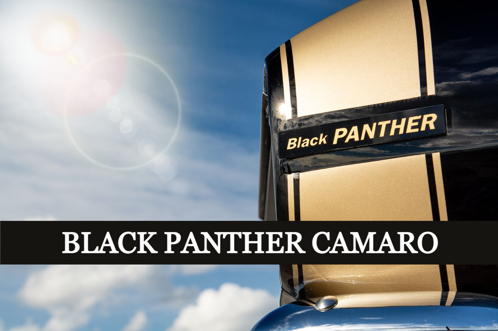 Wallpaper #SBrvTpMB1yWOL4qgL34p83 Black Panther Camaro Registry