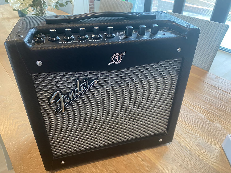 Wallpaper #Ybk13pIBJvJKYCmEbwR436 Fender Mustang 1 Modelling Amp the Guitar Shack