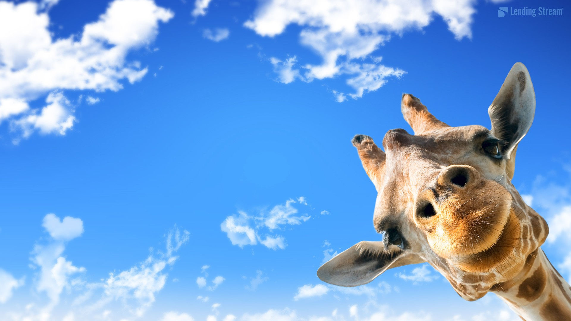 Wallpaper #7HcHKJMB-pgBXx60z6g369 Cute Giraffe Mac Wallpaper Live Wallpaper HD