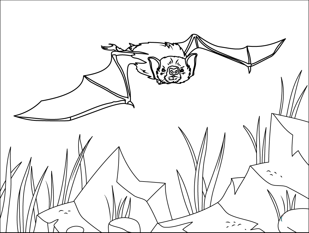 Wallpaper #r3KDMpMBX2lk1u3ogFrF373 Draw Bat Image Coloring Pages Coloring Cool