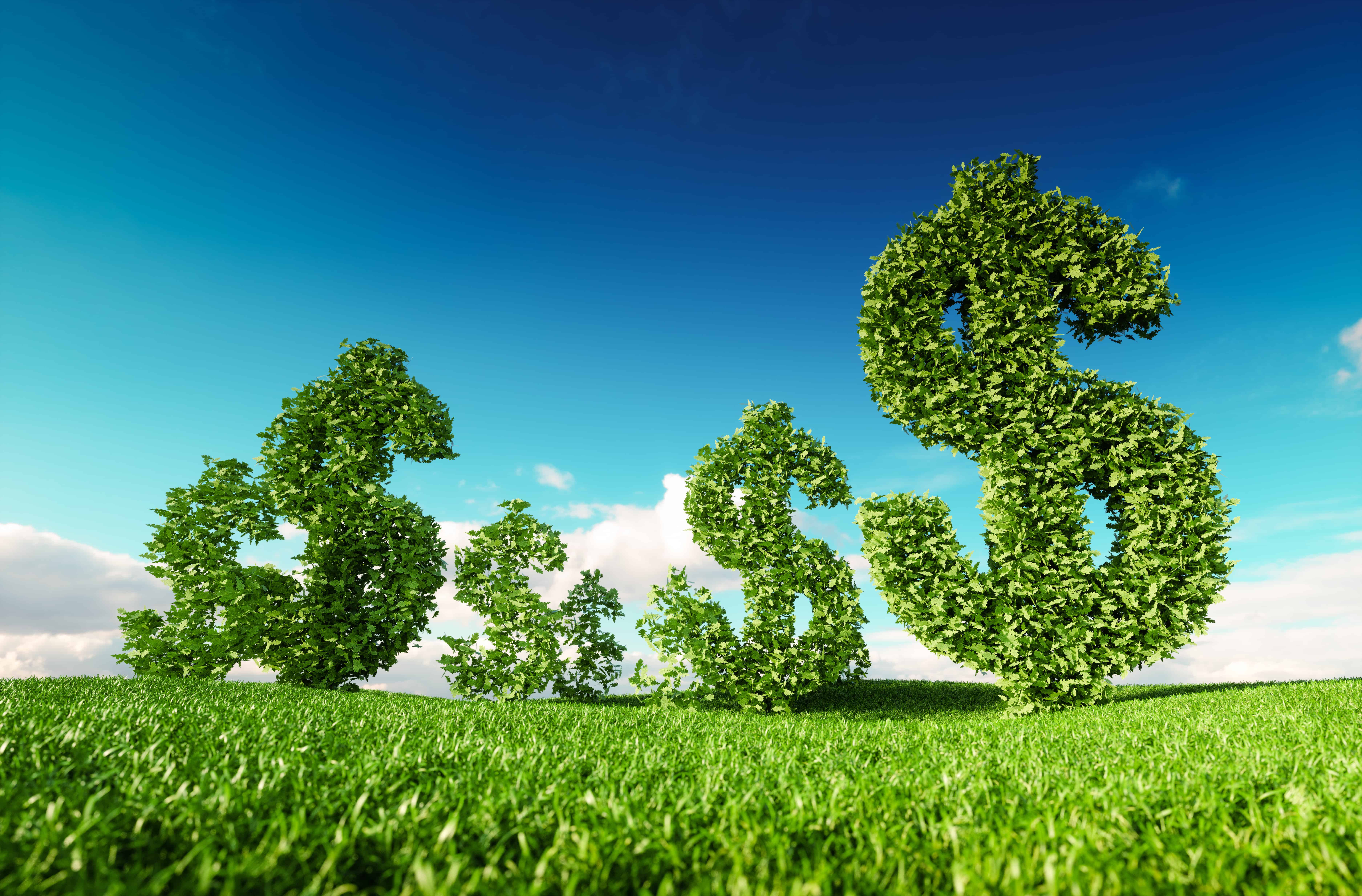 Wallpaper #4kDcLpMBJhL2WPbaNbo2283 Eco Friendly Business Green Profit Growing Money and Sustainable