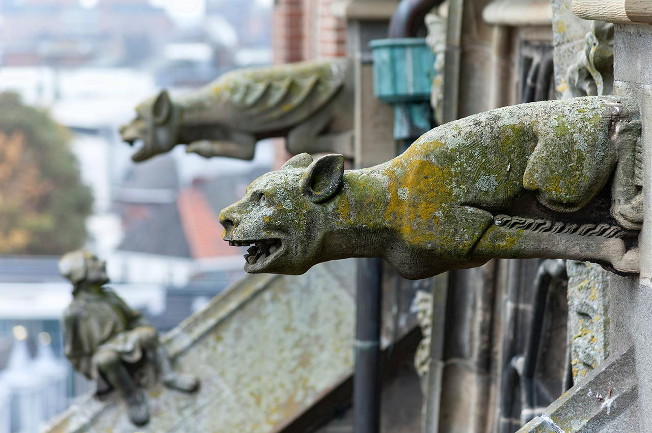 Wallpaper #s2eZ6JIBSpphPi3-Fj1x58 Gargoyle Figures on Top of the St Johns Cathedral in S Hertogenbosch