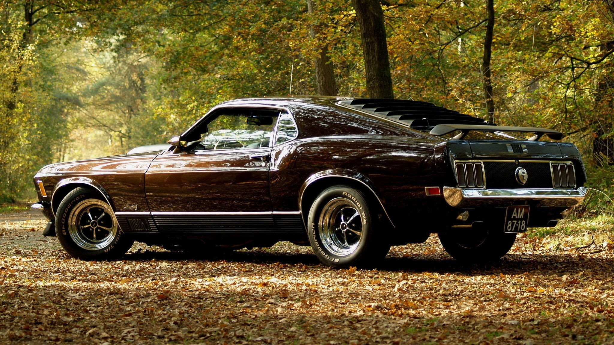 Wallpaper #AxnWN48BtGB6xQ78BqdA46 Muscle Cars Car Ford Ford Mustang Fastback Mach 1 Wallpapers HD