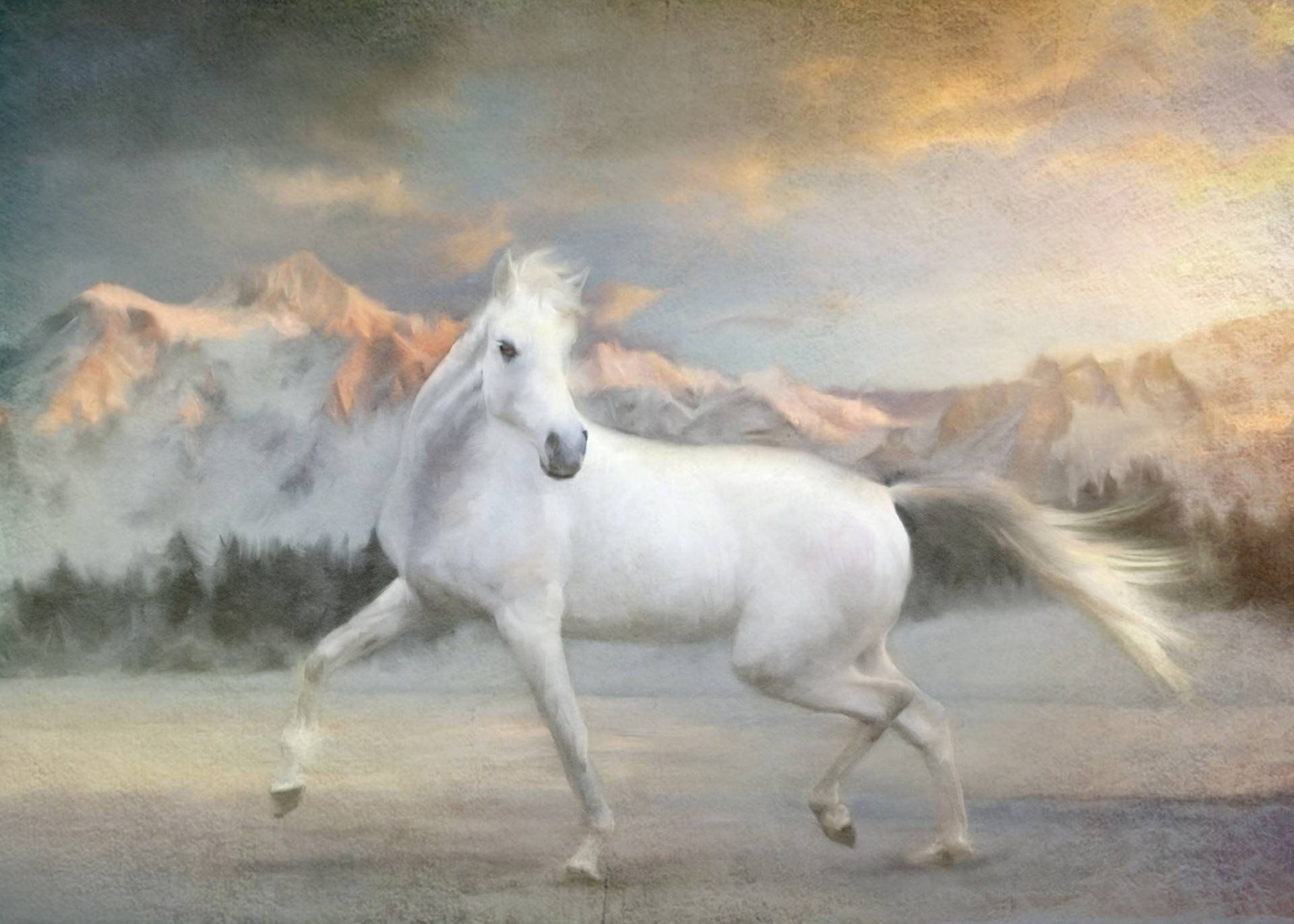 Wallpaper #MX1i8I4Bnwiau_P6ugZV40 Art Painting Beauty Horse Oil Beautiful White Wallpapers HD