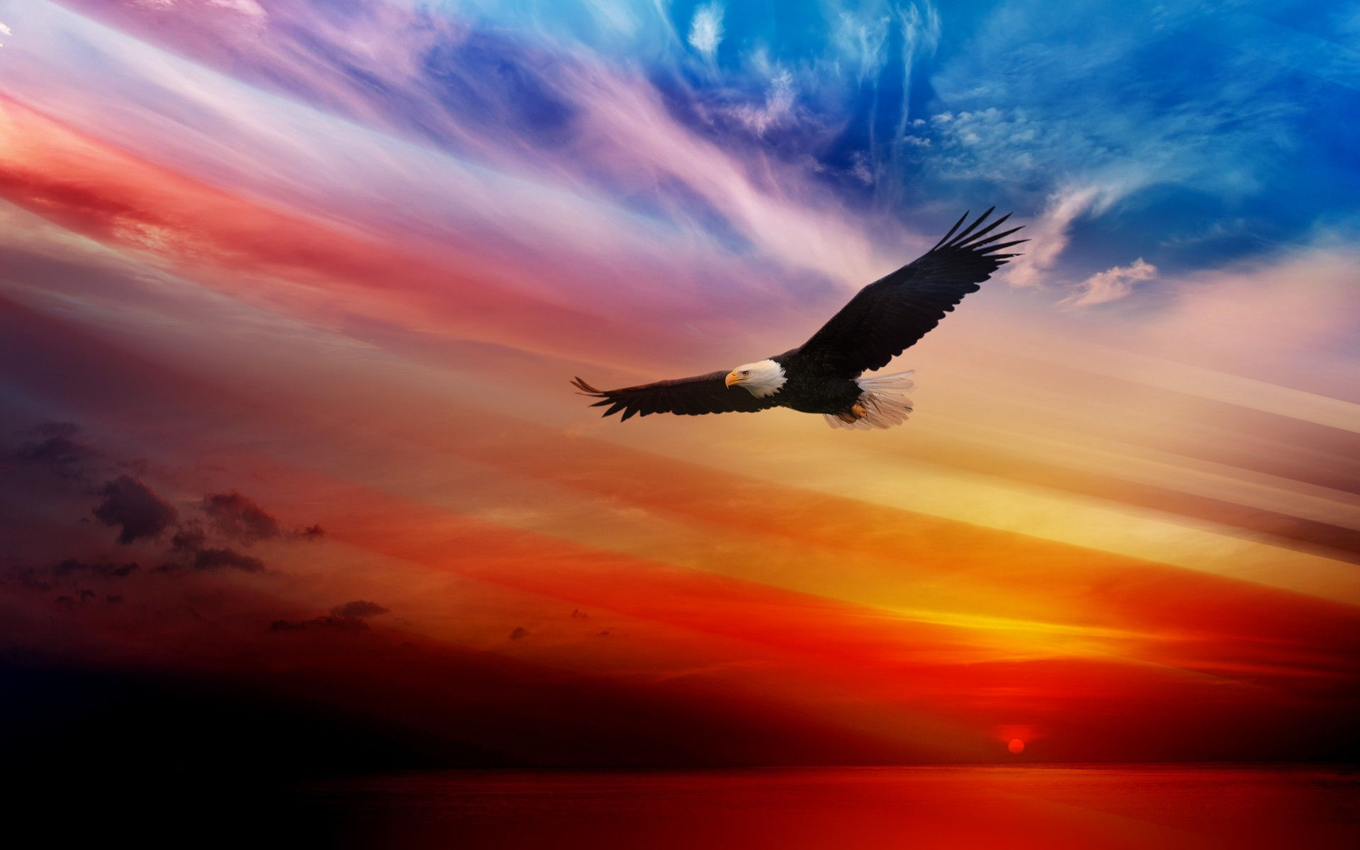 Wallpaper #6ef95 11209 Gier Eagle Images Stock Photos Vectors Shutterstock