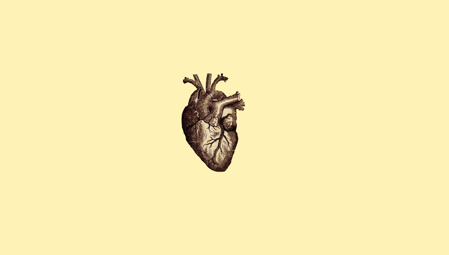 Wallpaper #WWdkEpMBSpphPi3-tvsO184 Digital Art Minimalism Simple Simple Background Drawing Anatomy
