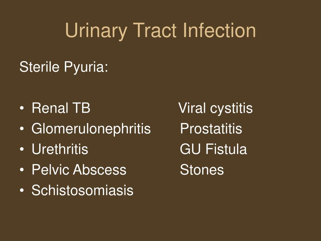 Wallpaper #2D780 182 Bacterial Infections of the Urinary System Biology Libretexts