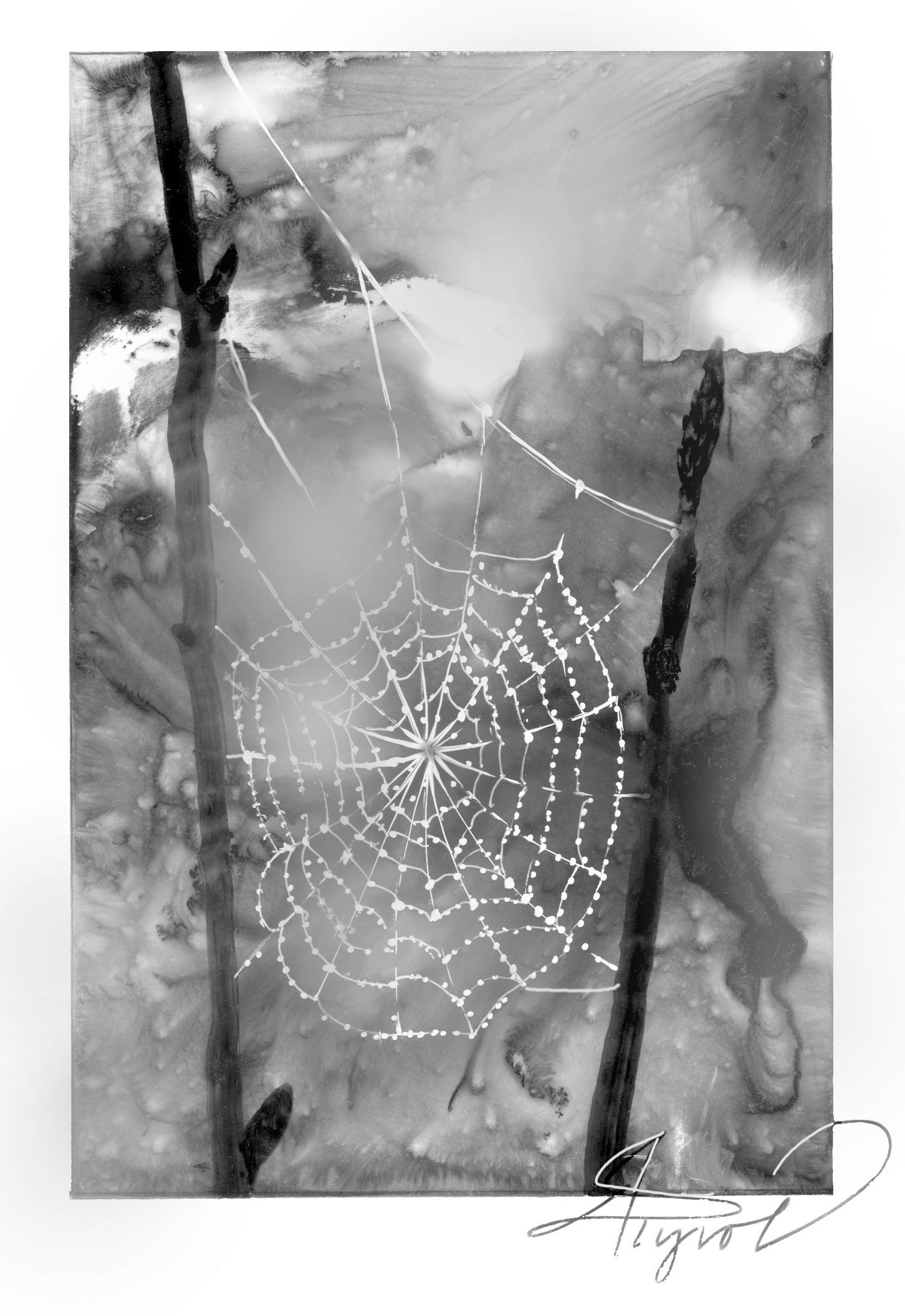 Wallpaper #yP_JaJMB3lSXT3zUg-SK335 The Outside Story of Dewdrops and Spider Webs Waterbury Roundabout