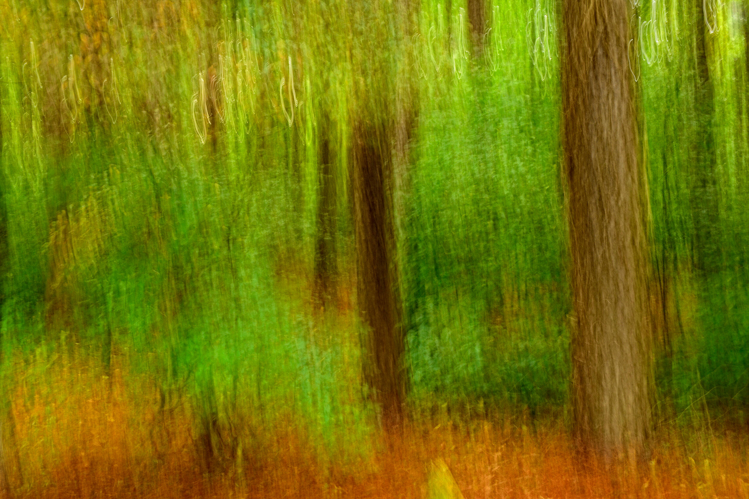 Wallpaper #r2fTEJMBSpphPi3-HPTq157 Some Artistic Creativity Jim Clark Photography