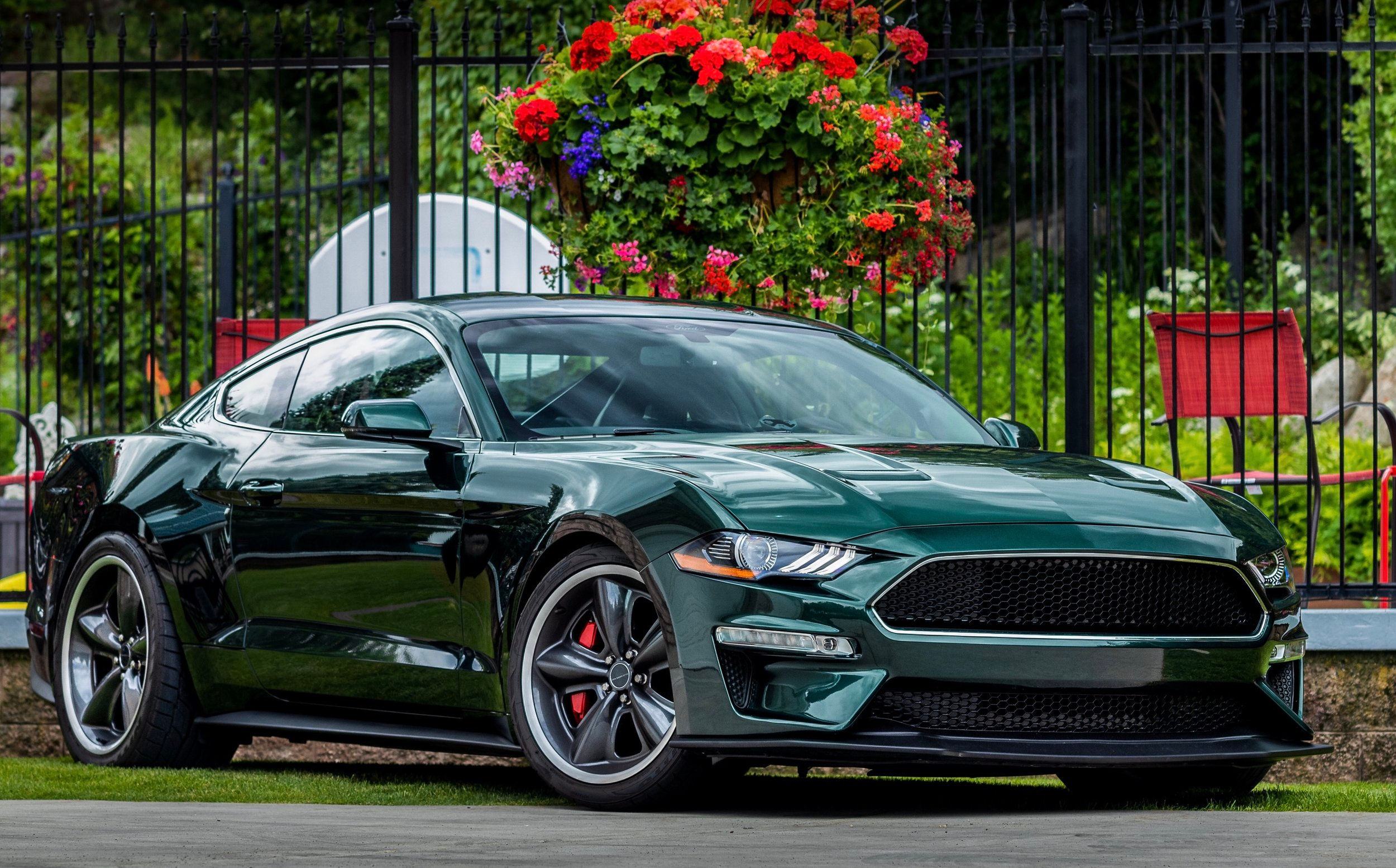 Wallpaper #zwPSYpMBpyOg8YnETNOC19 Steve Mcqueen Edition Bullitt Mustang Limited Edition Up to 800hp