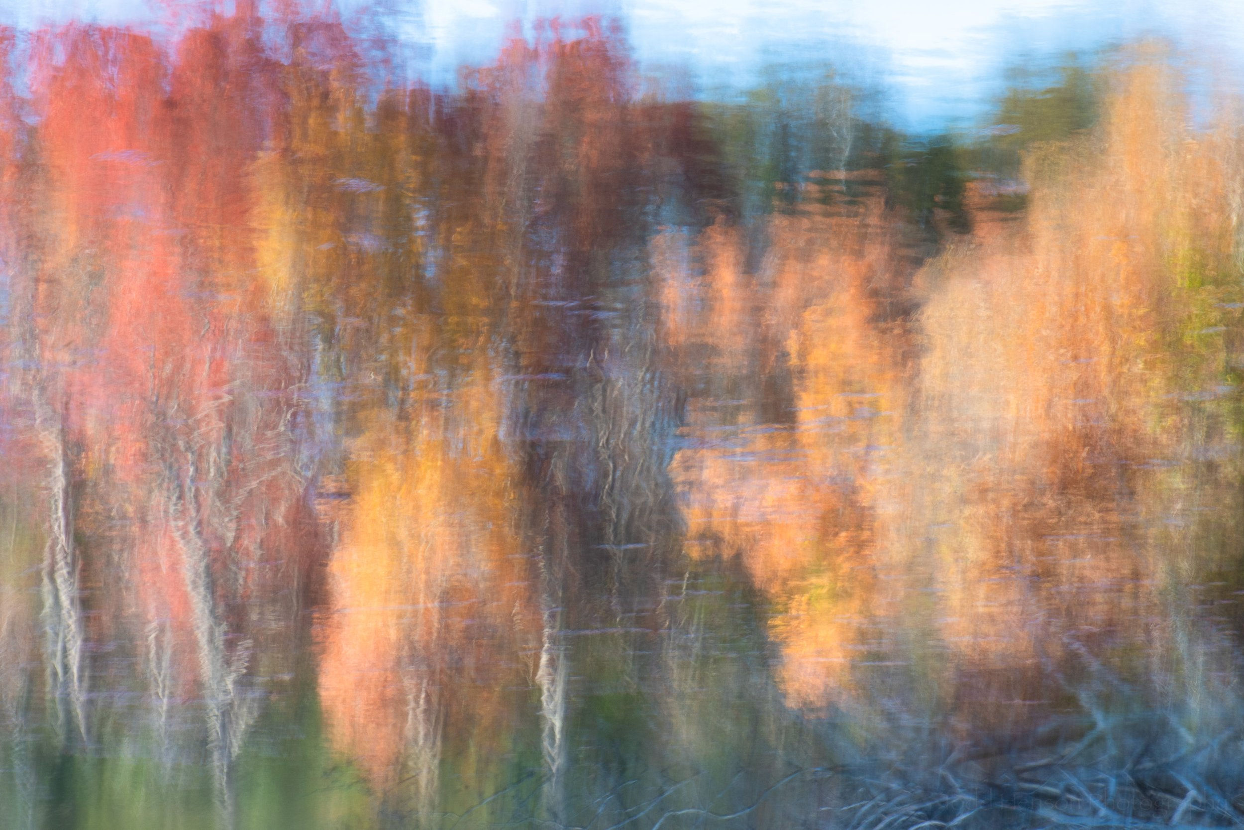 Wallpaper #r2fTEJMBSpphPi3-HPTq136 A Day for Abstracts in the Forest Todd Henson Photography