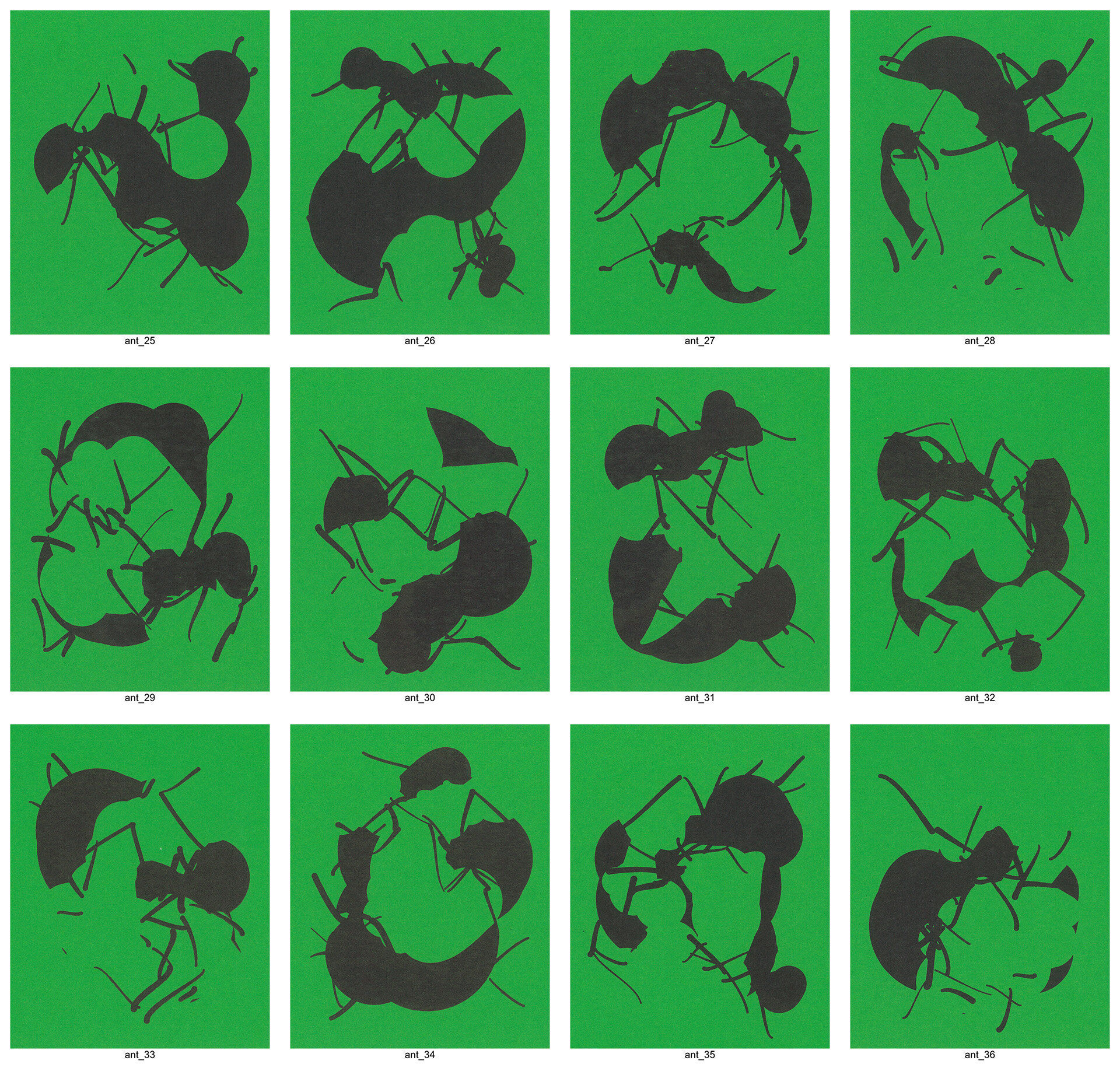 Wallpaper #9Sz7SZMB0E1QgA7wY_R516 Ant Cards Dribnet