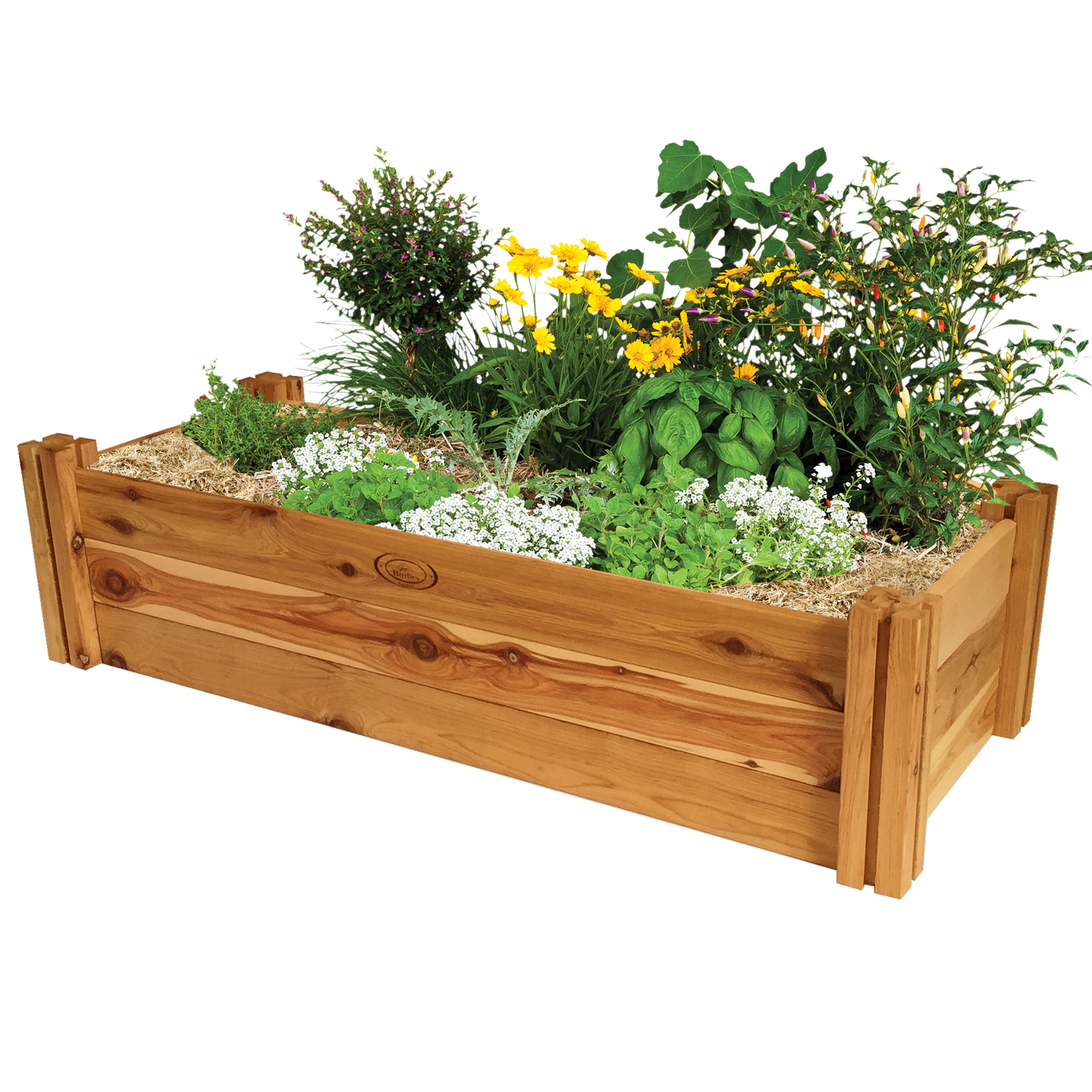Wallpaper #5RpEUpMB1yWOL4qgA4I1287 Birdies 1200 X 480 X 300mm Heritage Modular Raised Garden Bed Kit