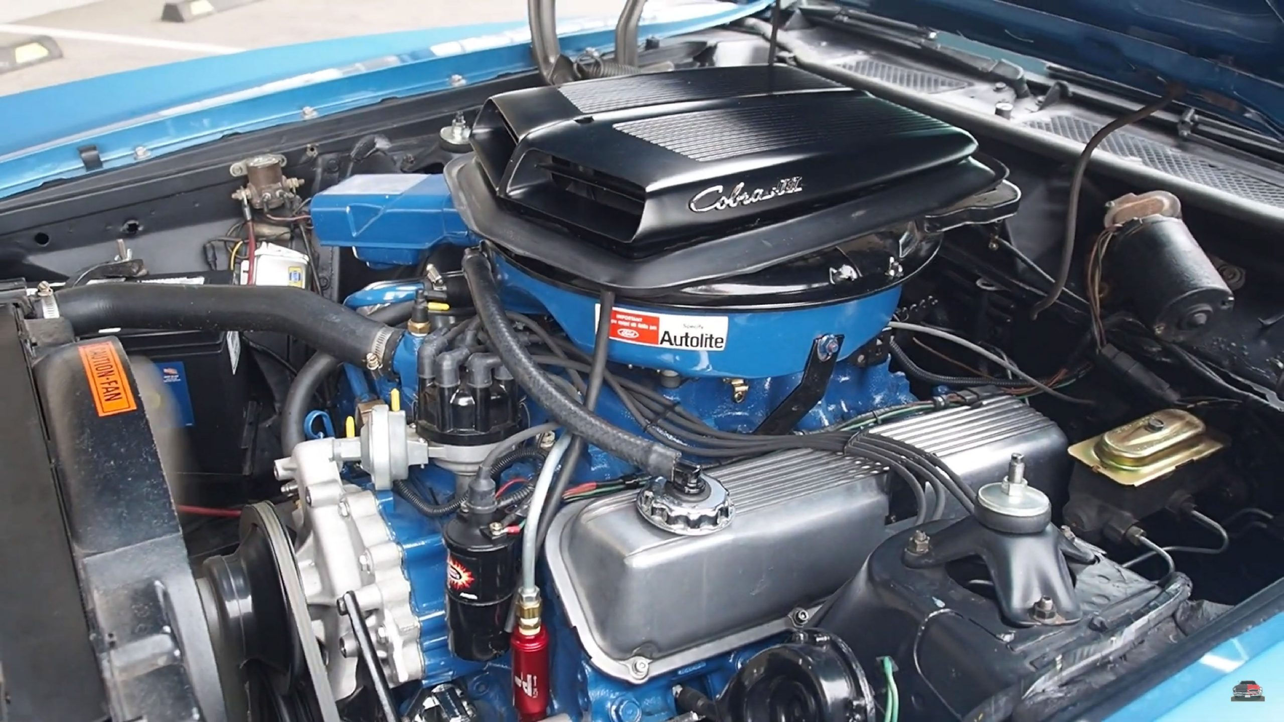 Wallpaper #AGdRA5MBSpphPi3-tLOH154 Ford Cobra Jet Guide History Specs Engines 1968 2020