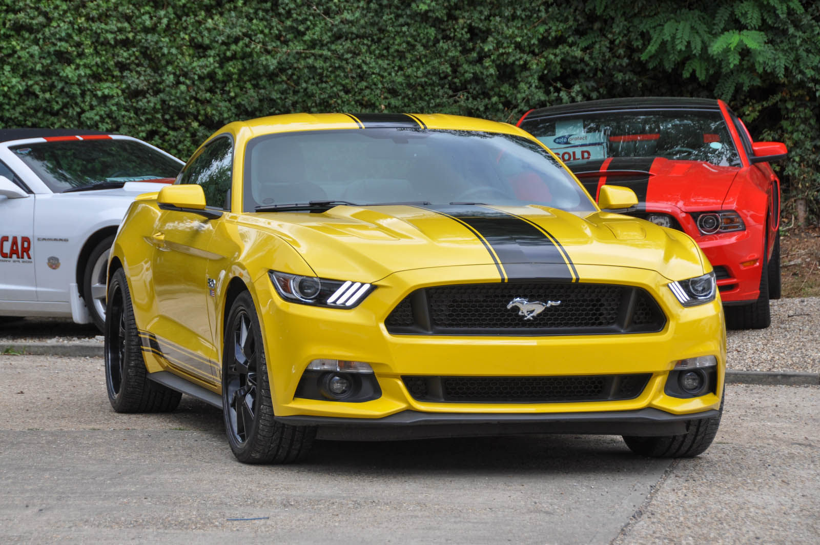 Wallpaper #OBf7PpMBPLD5_VEN6uG19 2016 Mustang GT Premium Auto David Boatwright Partnership Official